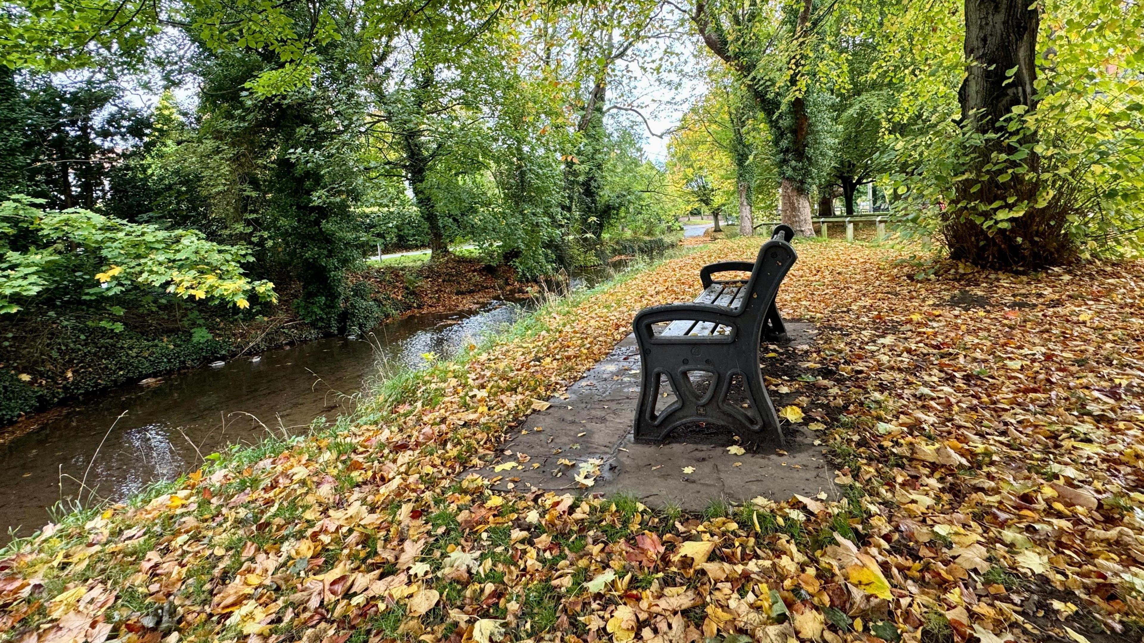A metal bench facing a stream running through a park is surrounded by yellow/brown fallen leaves. The trees surrounding it still have green leaves.