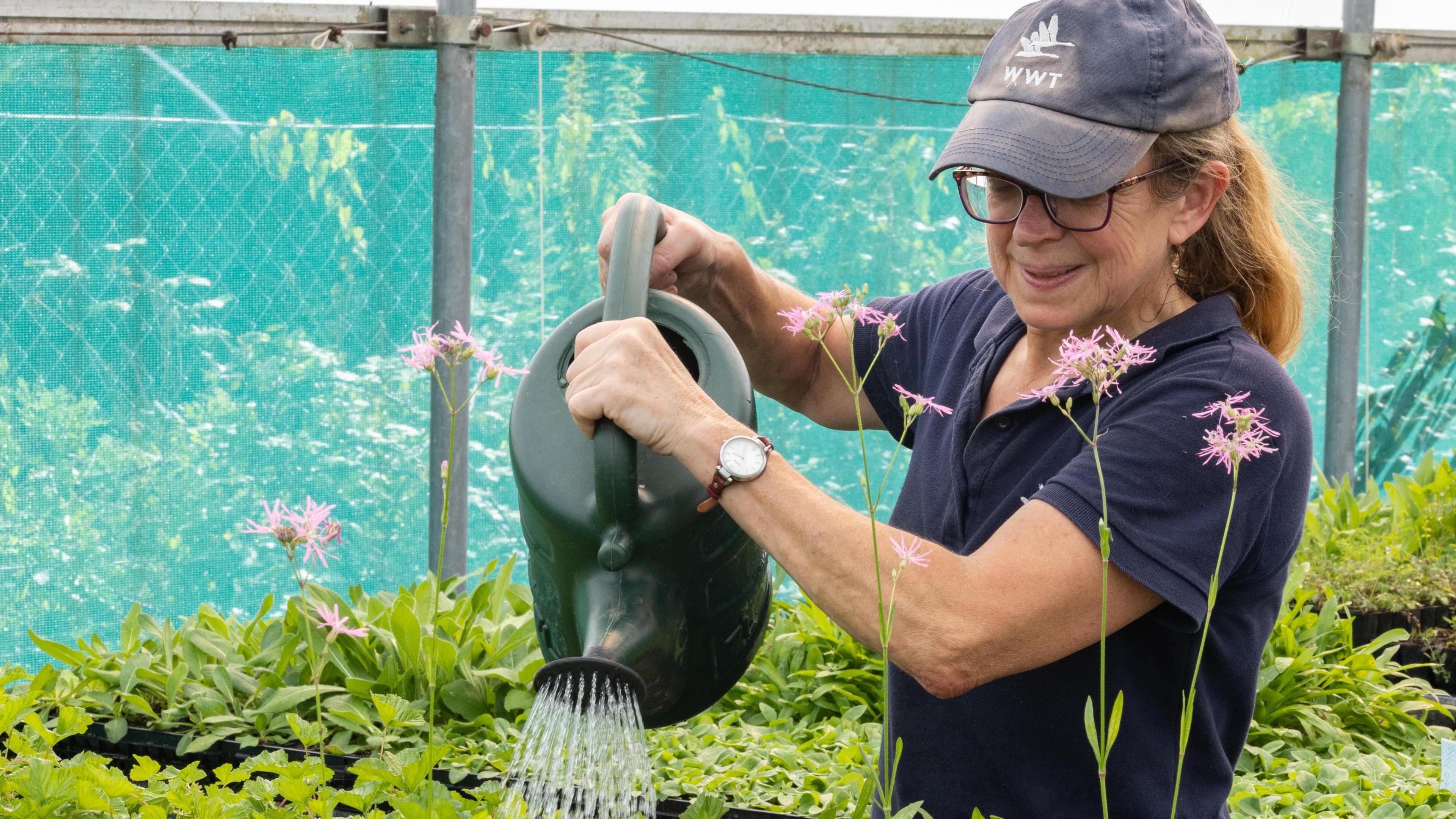 A woman in a WWT uniform watering plants 