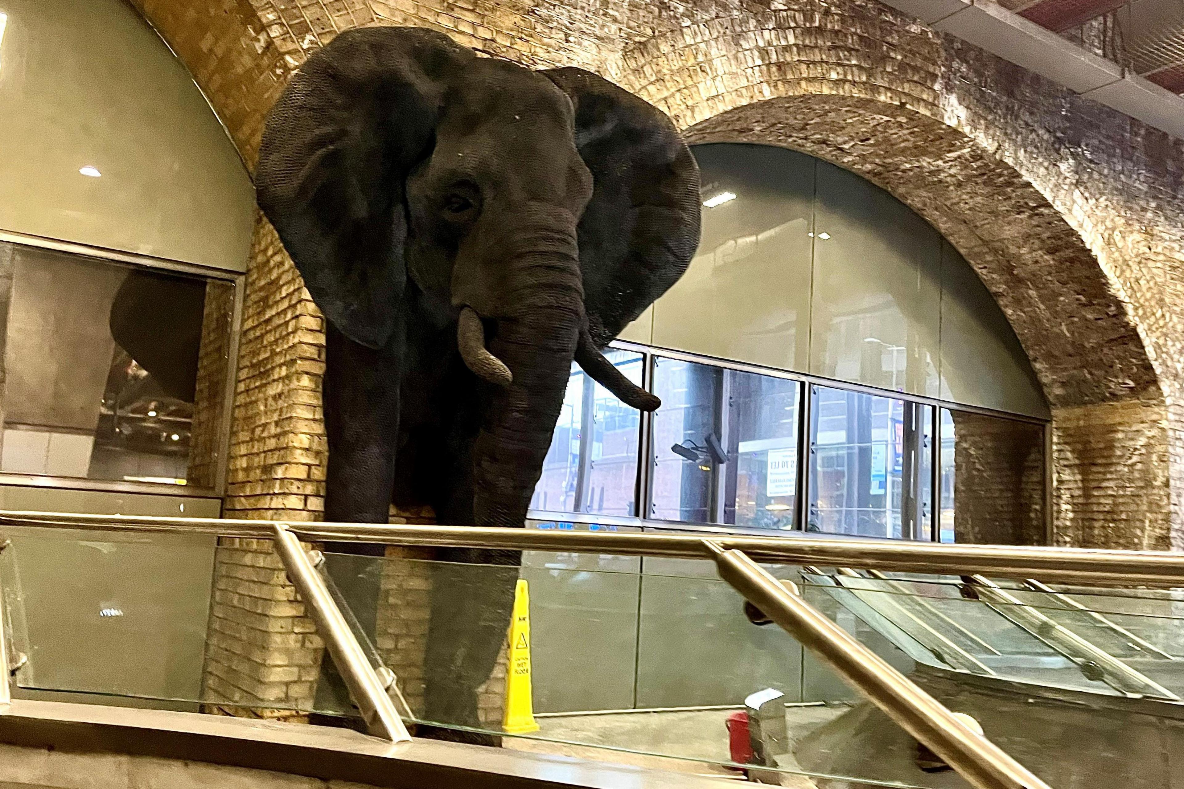 Large artwork of the head of an elephant and its front legs emerging from a wall between yellow brick arches in Waterloo Station 