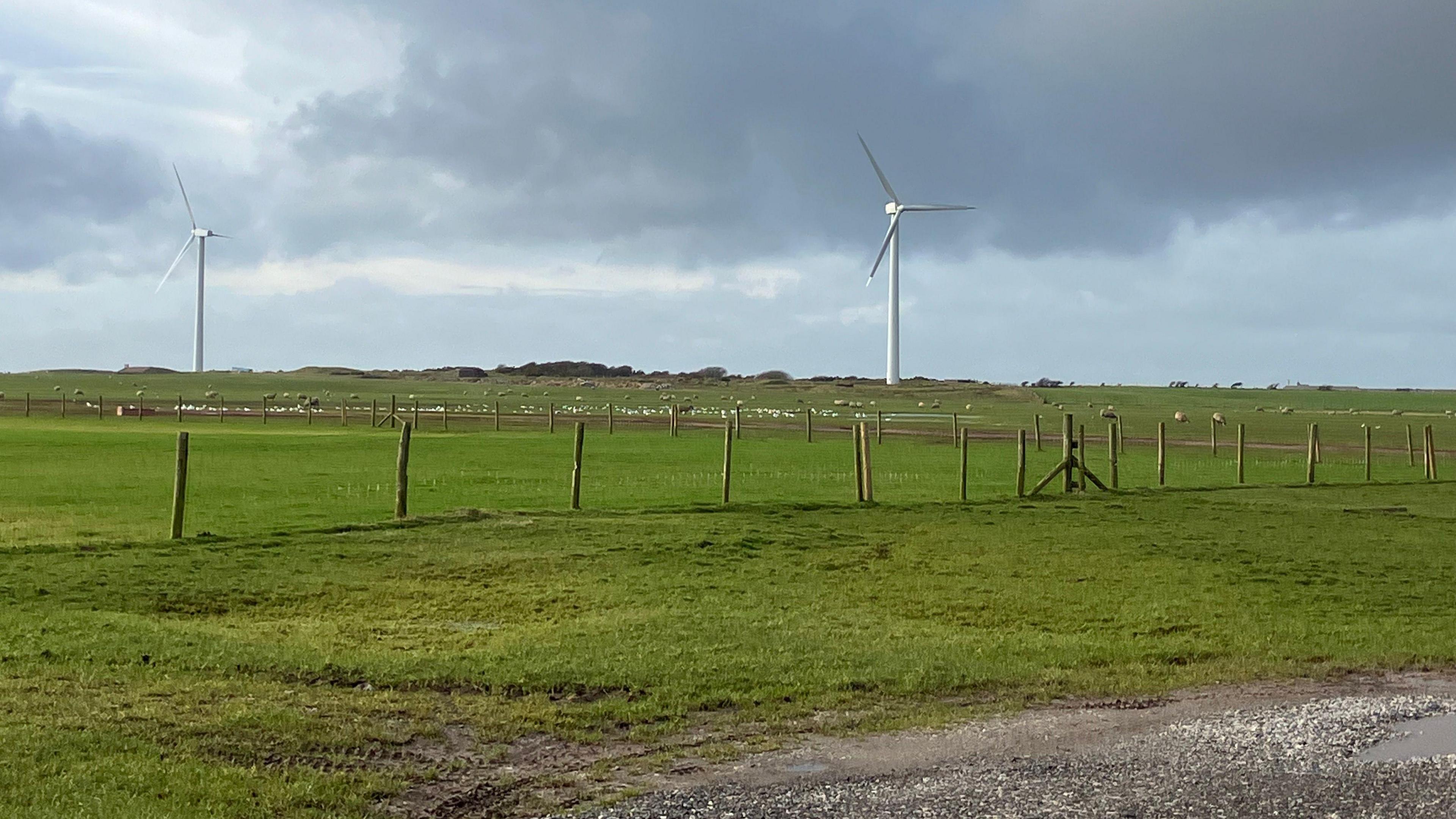 Field in Whicham parish