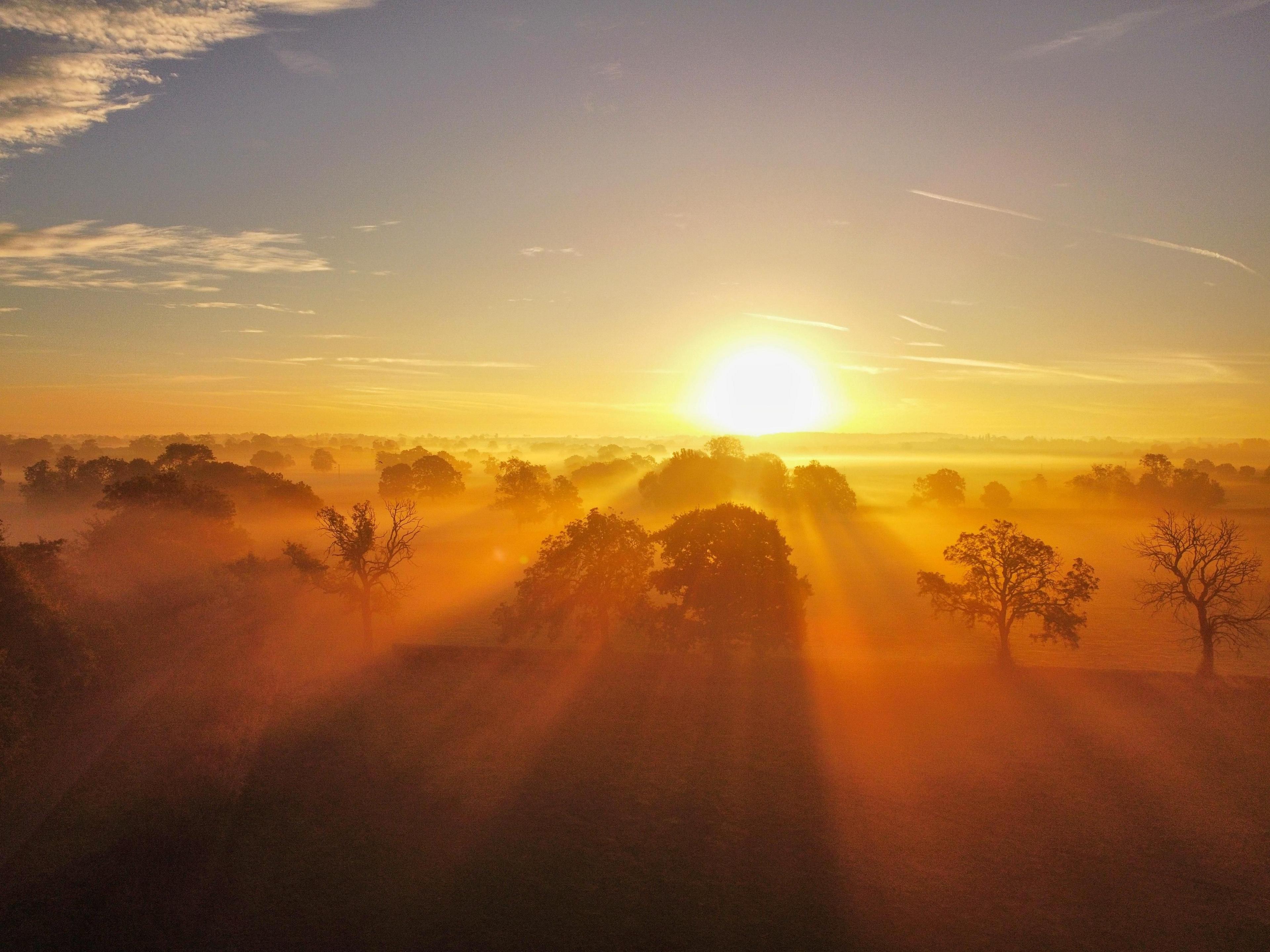 This elevated shot shows a bright sun on the horizon with trees in the foreground. The slight mist emphasises their shadows and the impression of rays projecting between them.