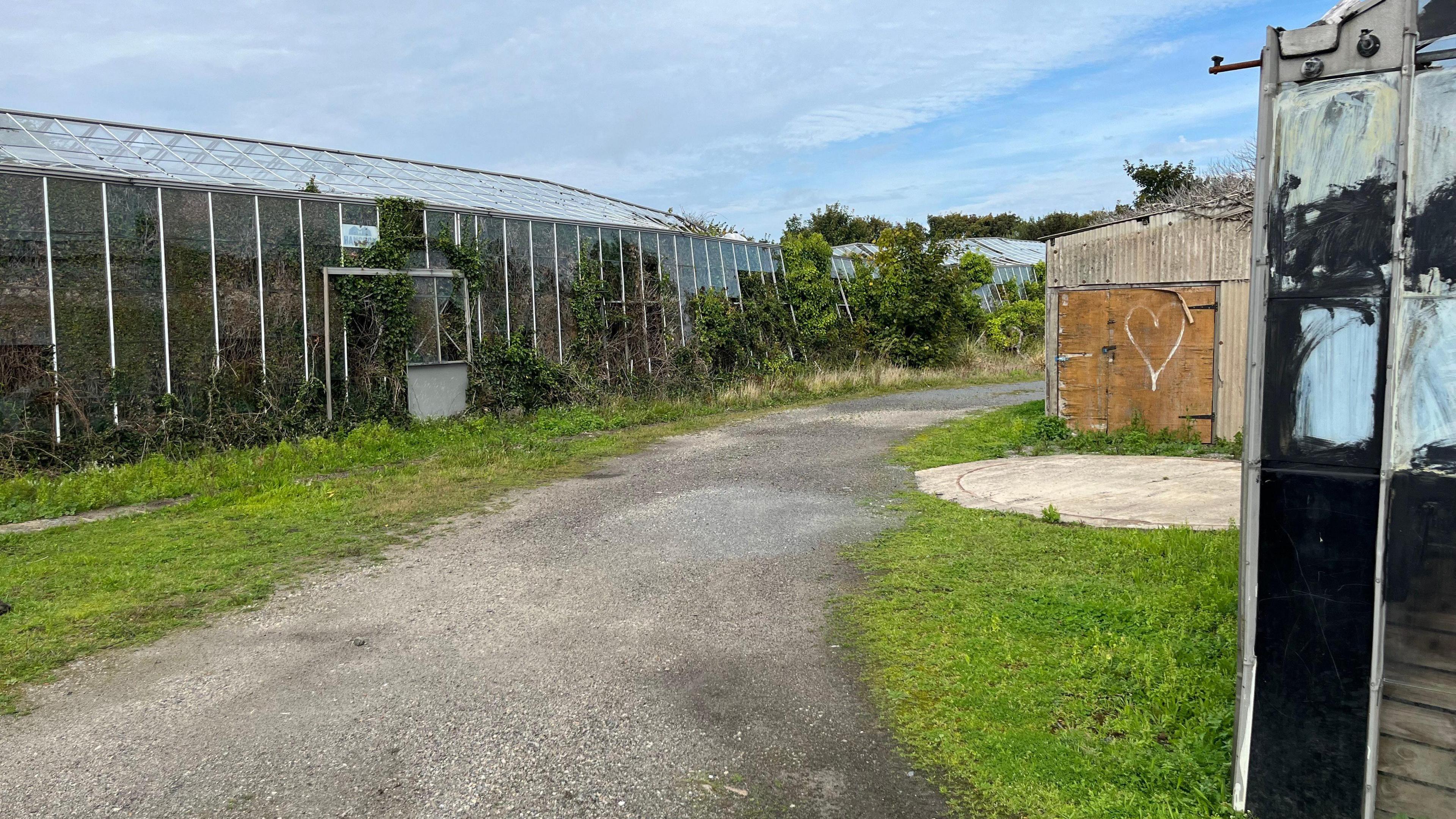 Disused greenhouses with weeds pressed up against the glass, alongside an old packing shed with heart shaped graffiti on the door.