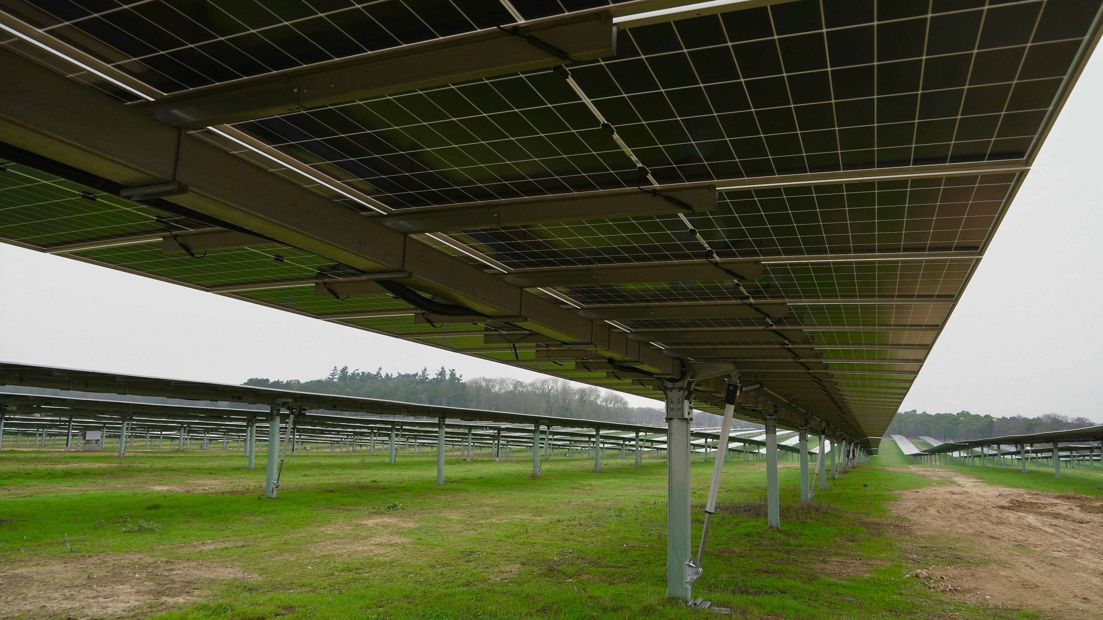 The underside of an array of solar panels. The panels are mounted on tall metal stilts and arranged in long rows, which are disappearing into the distance. There is green grass growing beneath the panels. The sky appears to be overcast and grey. Trees can be seen on the horizon.