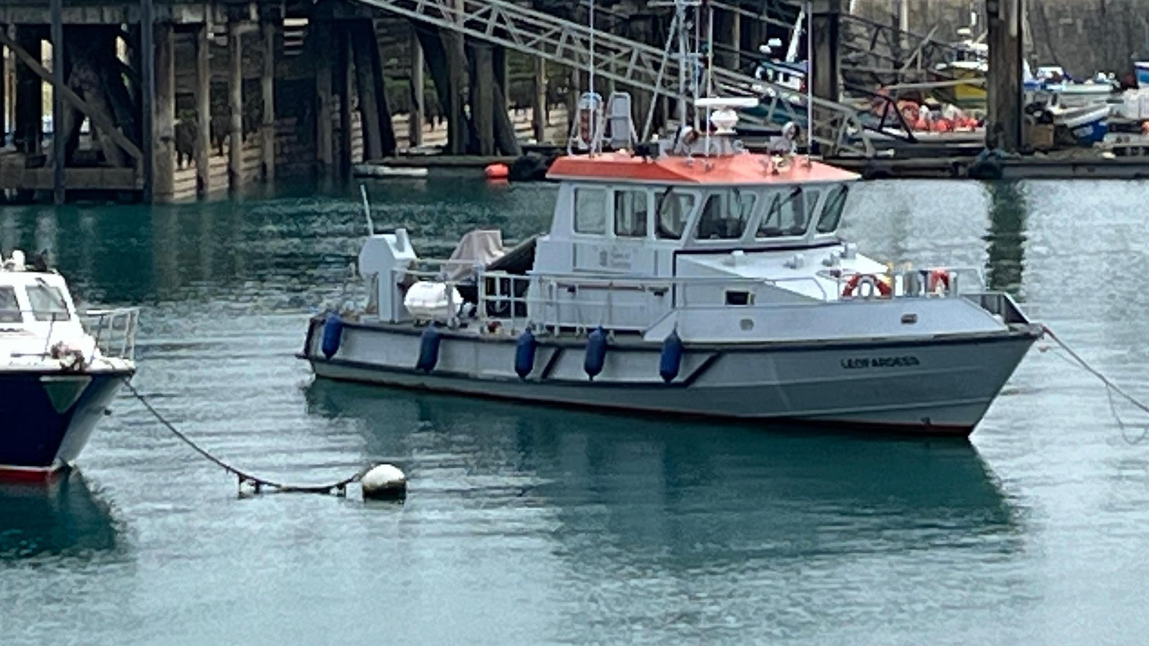 Leopardess in St Peter Port Harbour