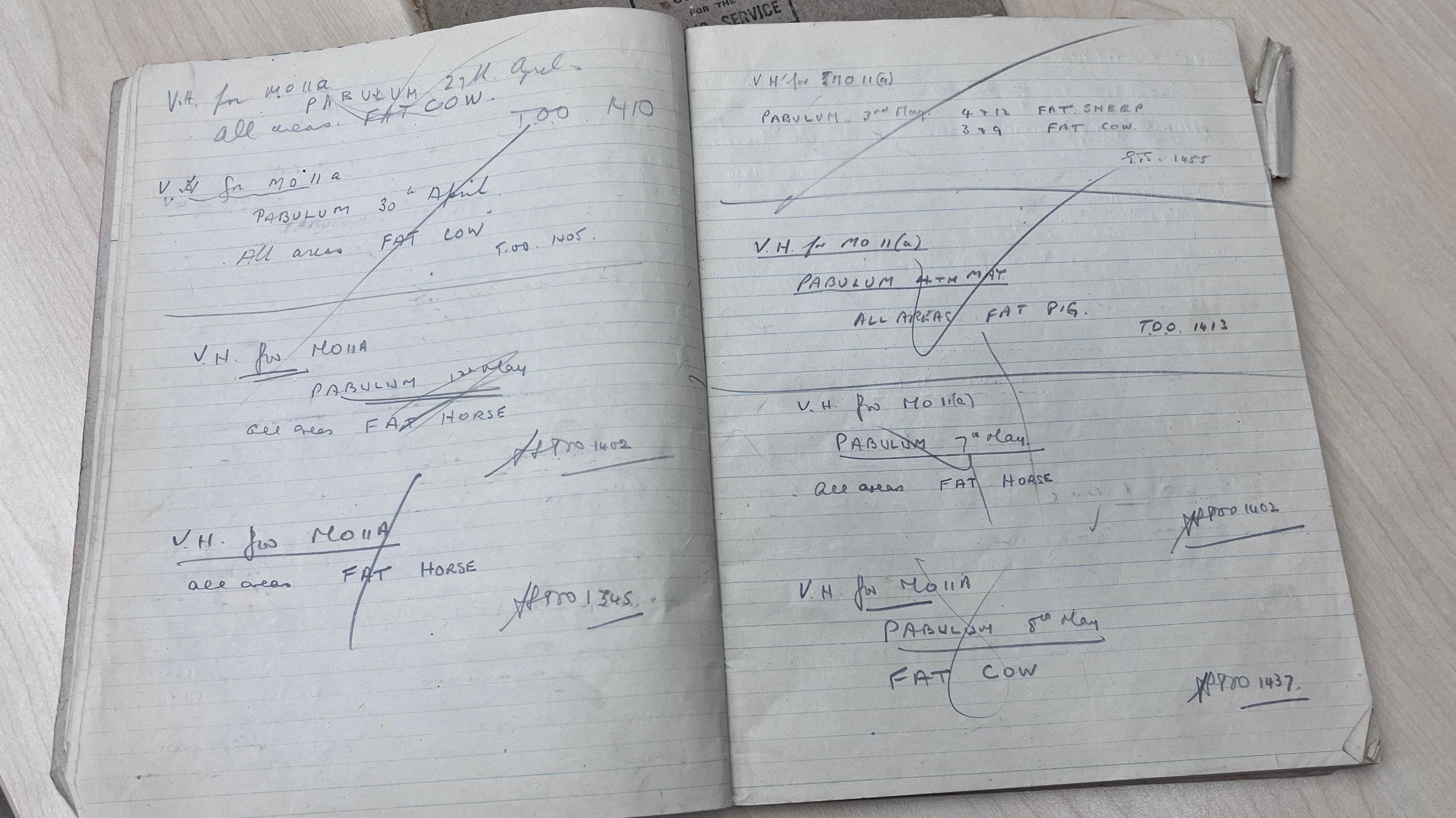 An old notebook is open showing two pages of notes written in pencil, sectioned off for different dates and large ticks or lines crossing out the information to indicate it has been shared