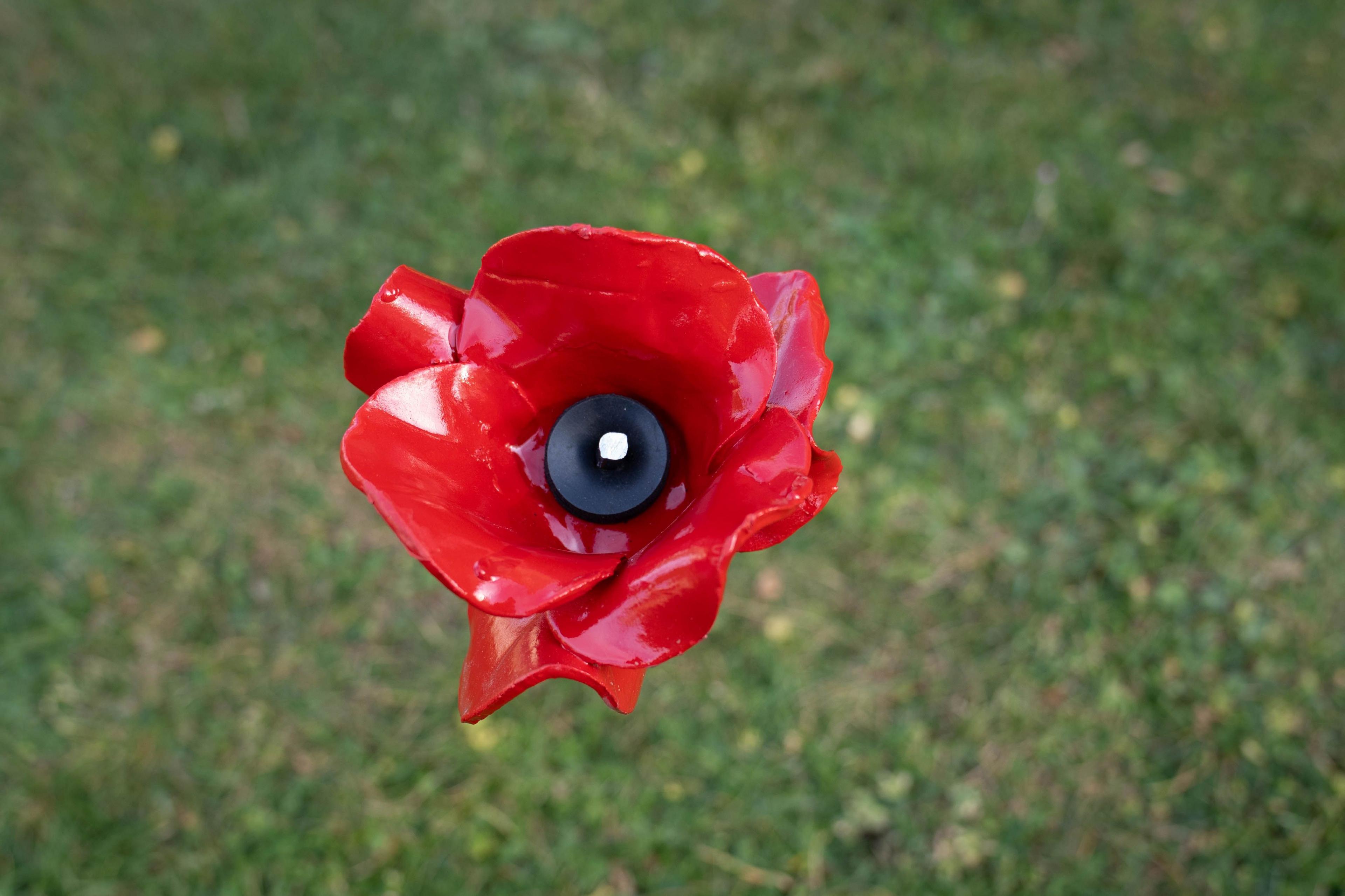 A first poppy is installed by Chief Yeoman Warder, Rob Fuller at the Tower of London 