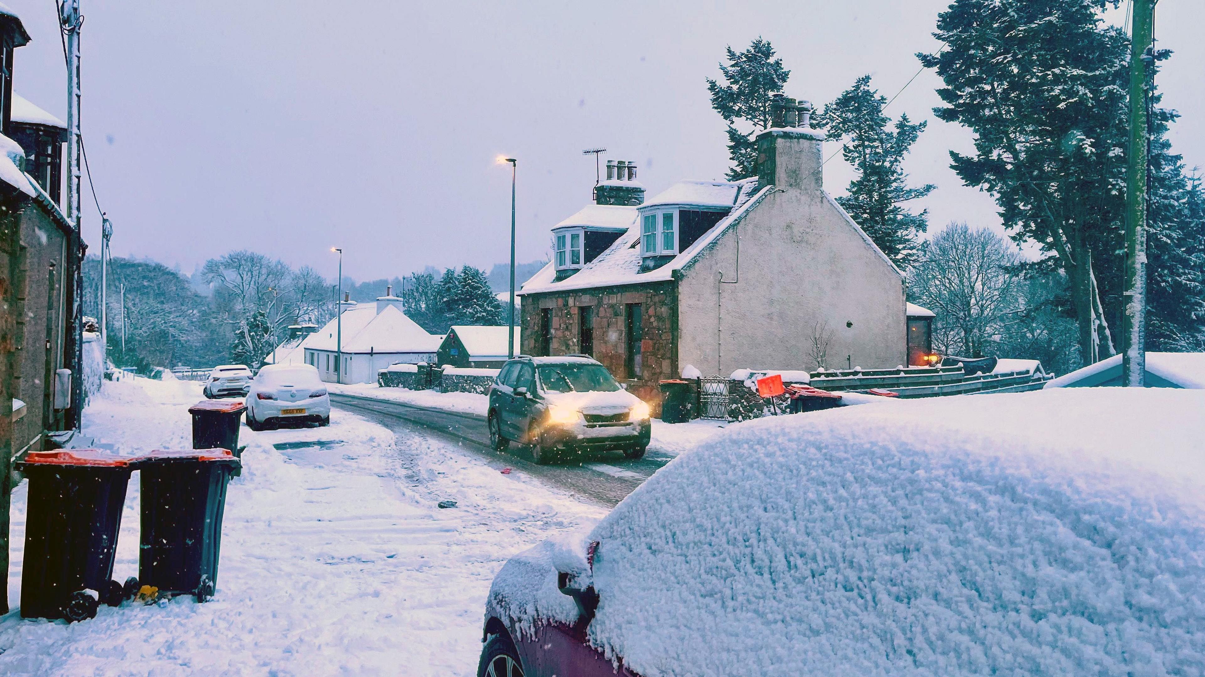 A car and street and trees covered in snow at night in daylight