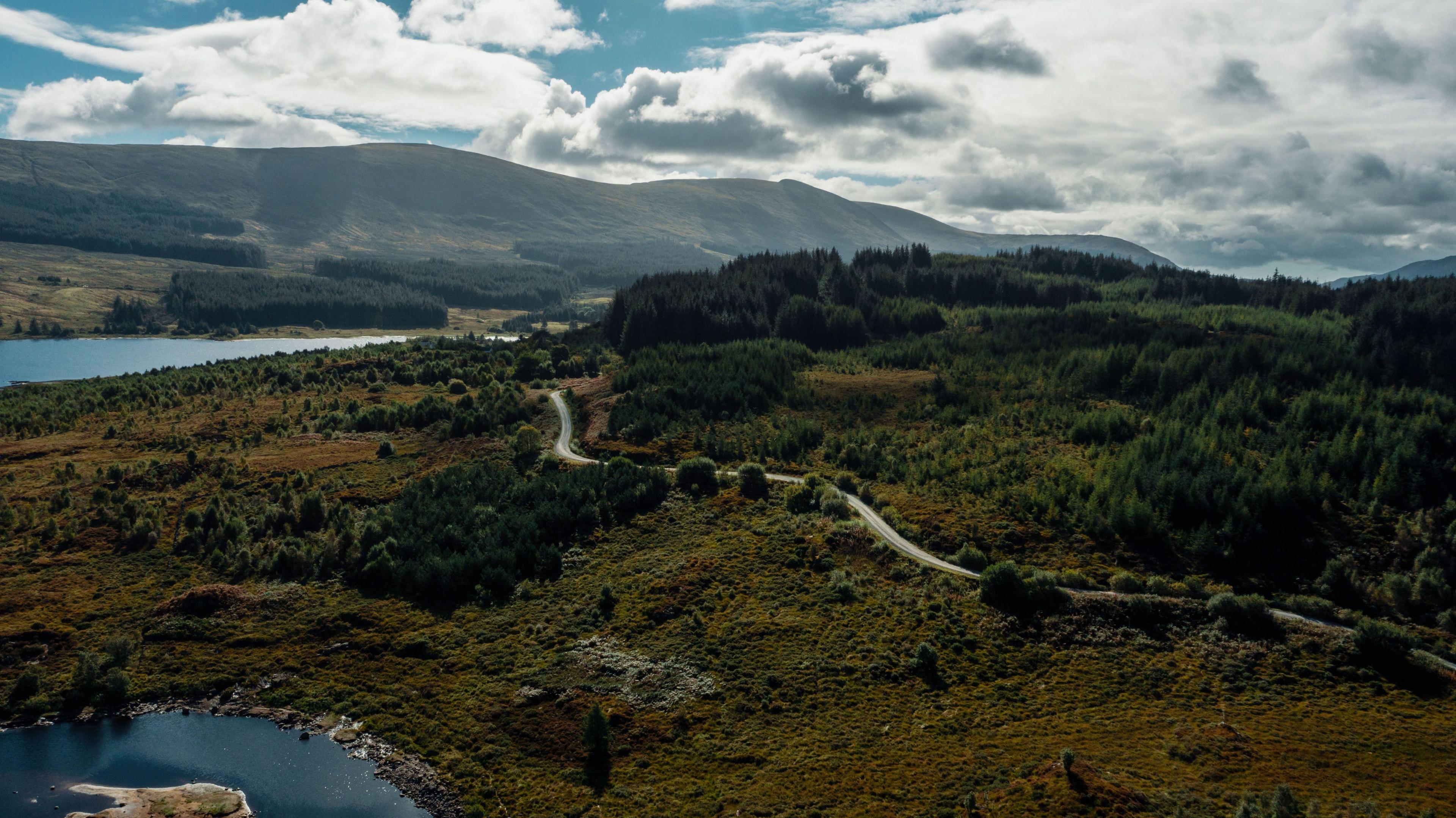An image showing a stretch of forest in Gatehouse of Fleet, consisting of a long path, green space and lakes.