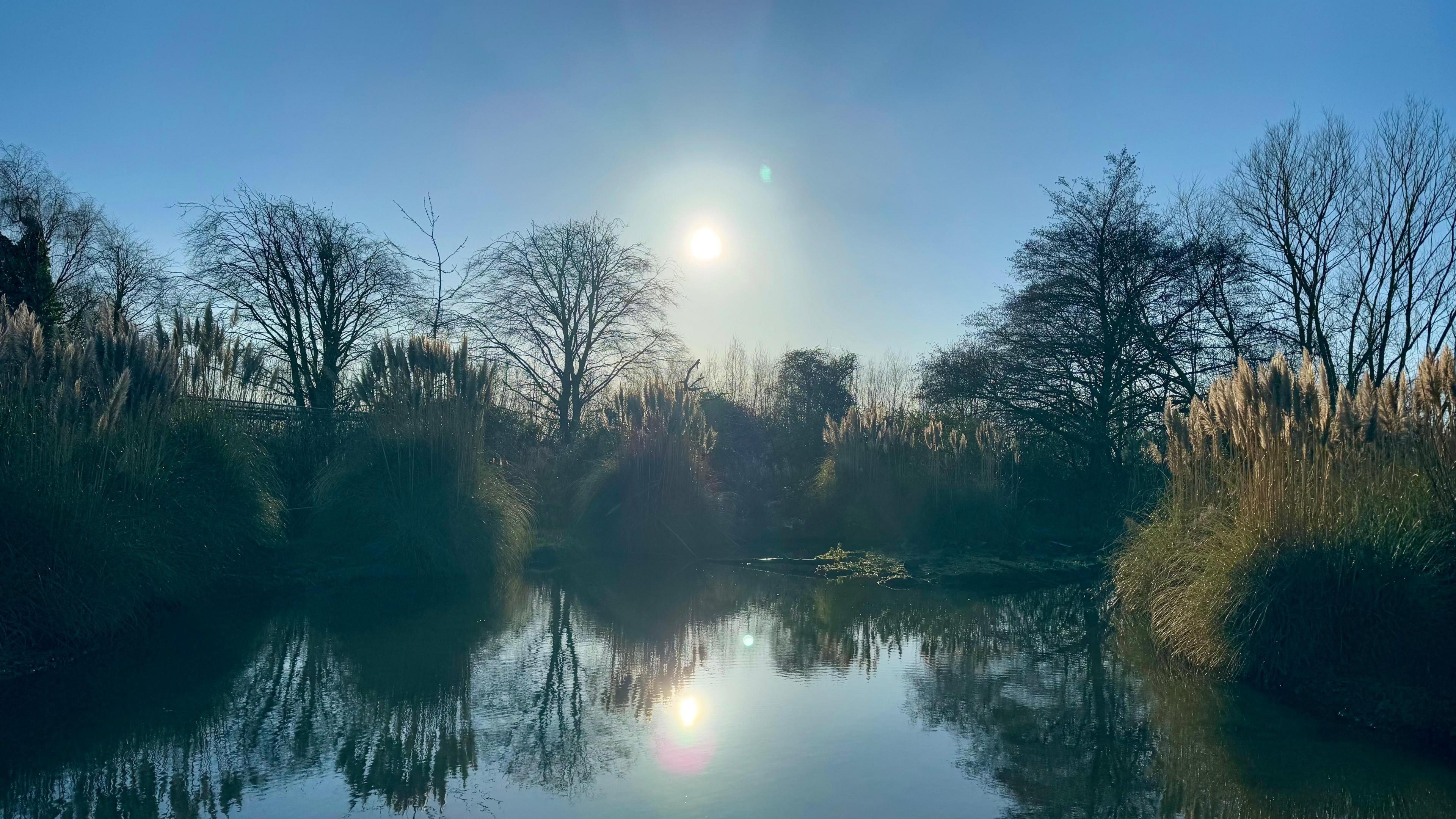 A river reflected in the sunshine in this photo with plenty of trees surrounding the frame.