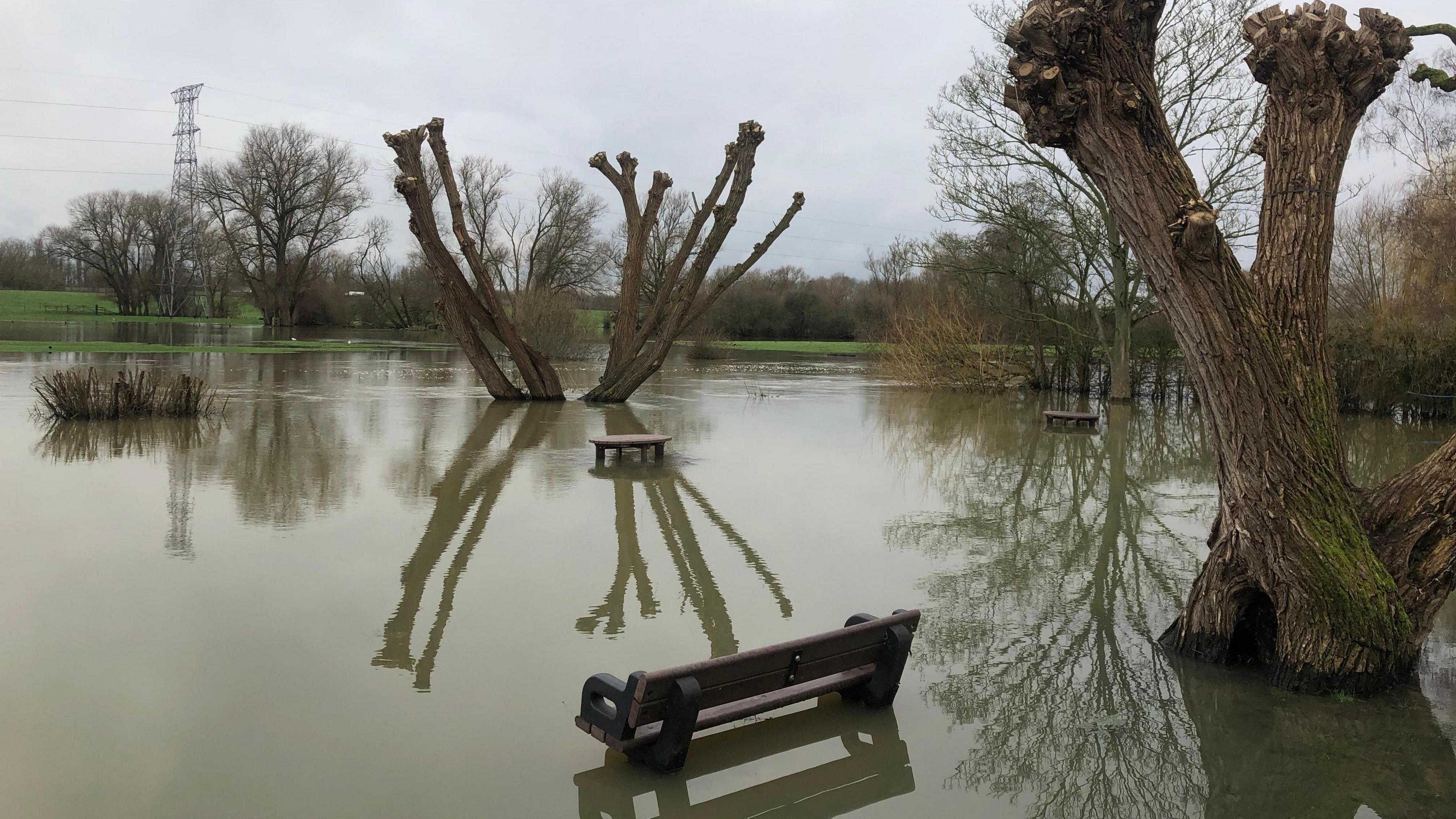 A park that is deep in brown floodwater. Benches are submerged, as are the bottoms of trees and bushes
