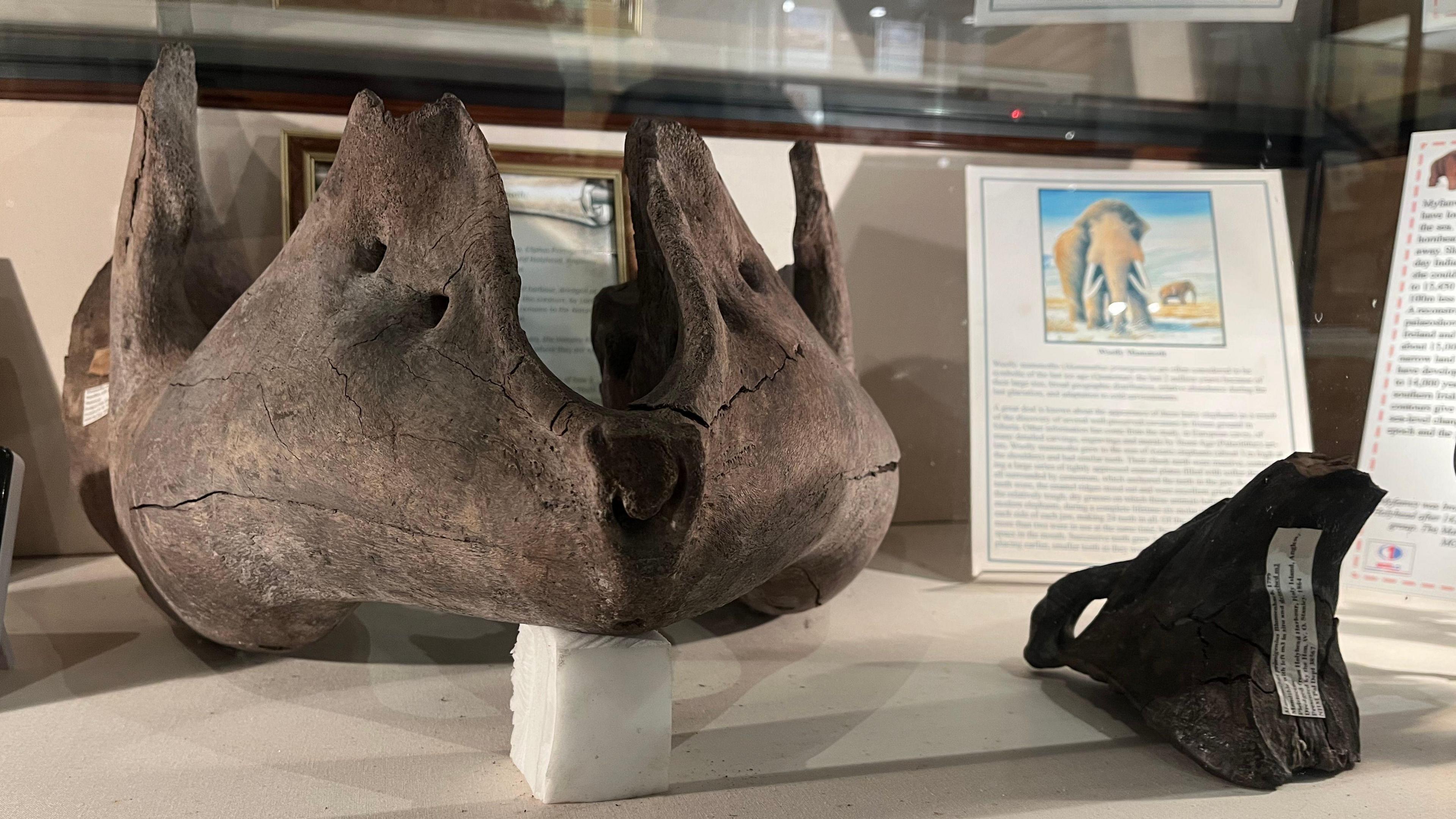 Gweddillion 'Myfanwy'