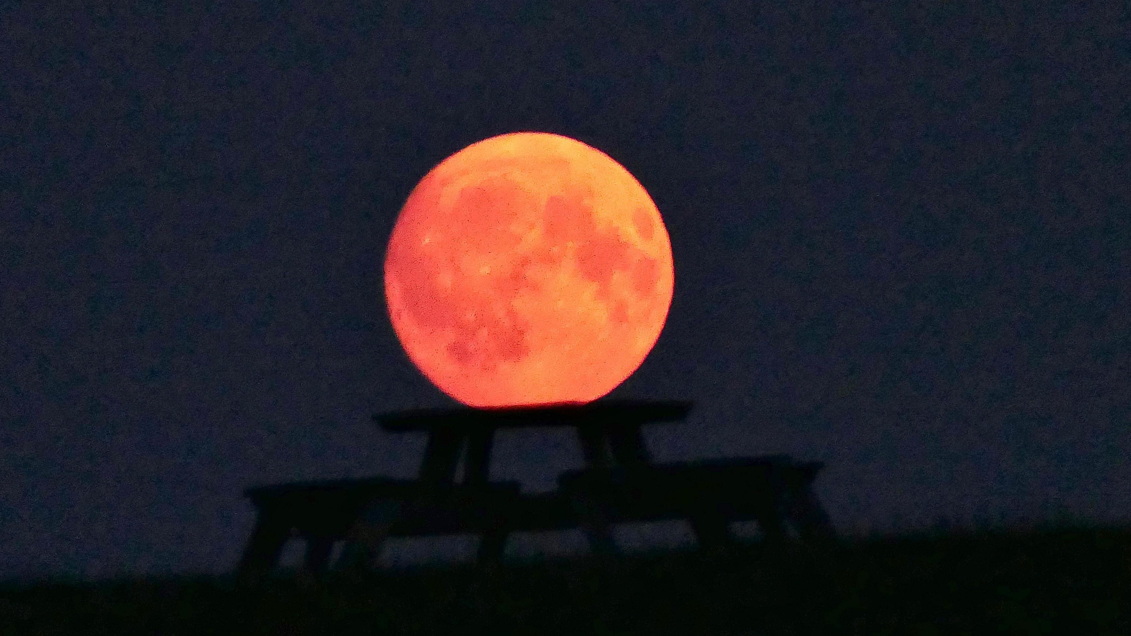 dark skies with a very vivid and orange full moon appearing to sit on a picnic bench in the foreground.