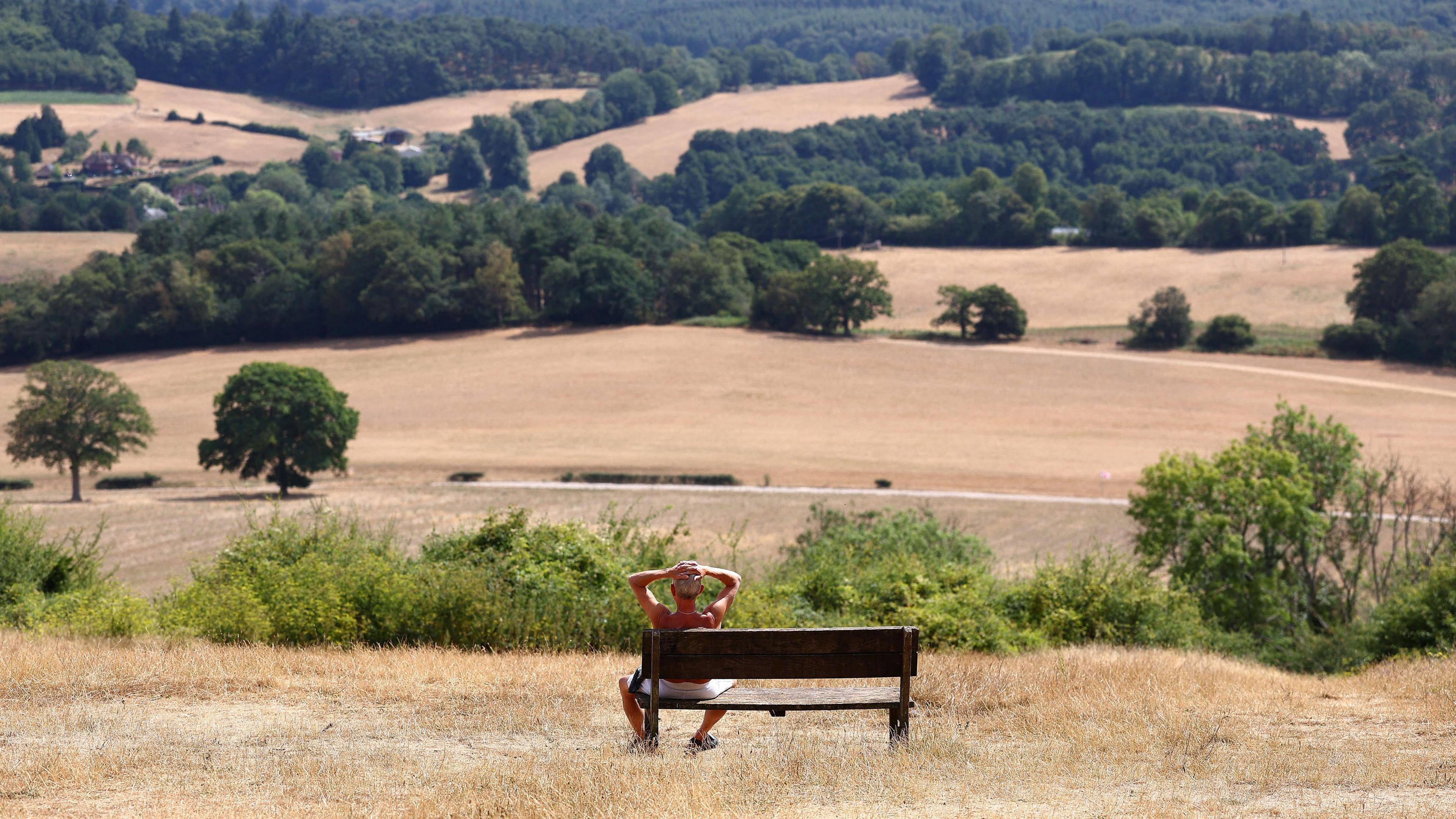 A shirtless man sitting on a wooden bench looking out across fields that are golden with dead grass.