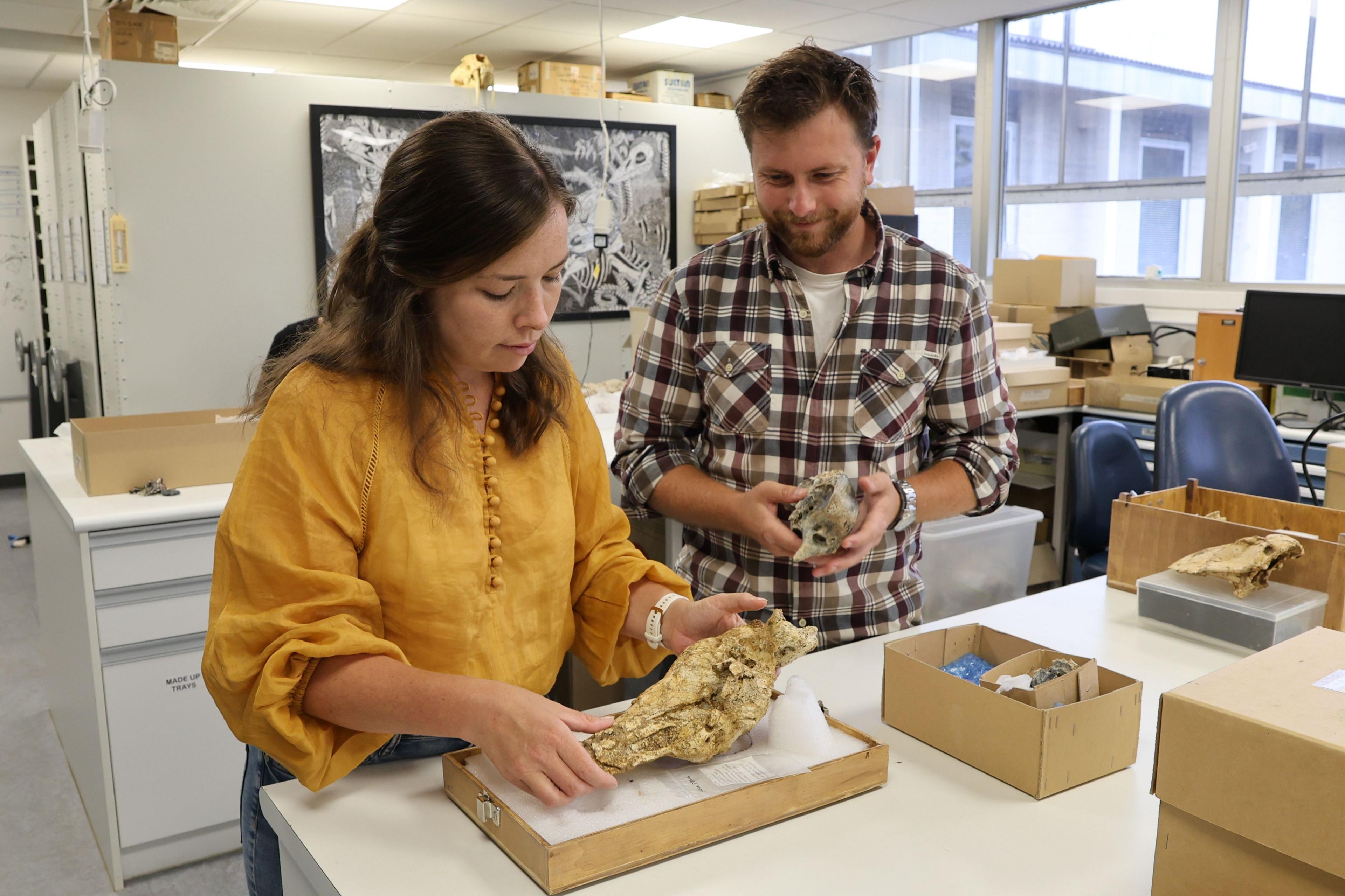 A woman wearing a yellow blouse gazing down at the skull with a smiling man in a checked shirt standing alongside her holding another fossil