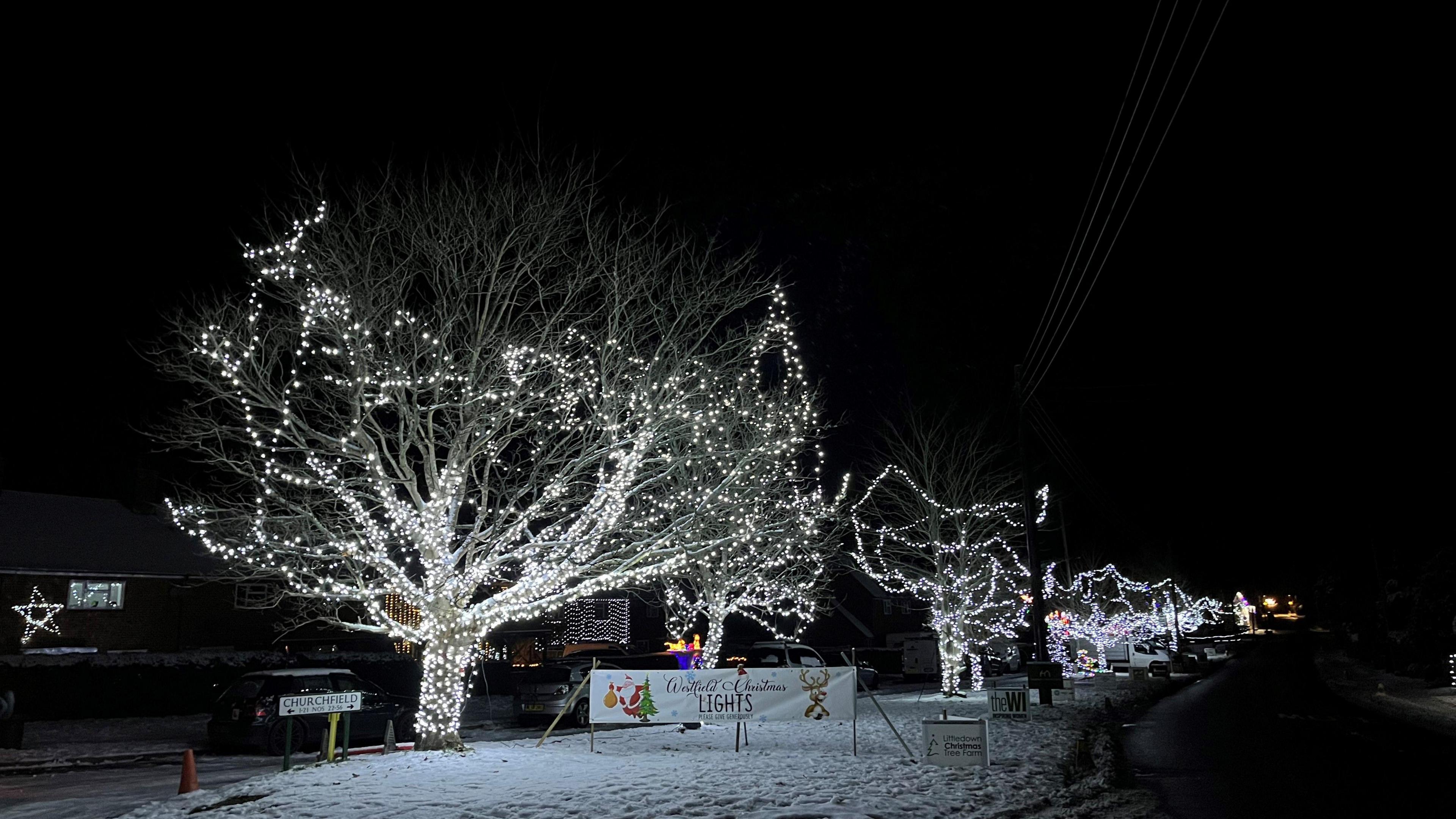 Trees lit up with white lights