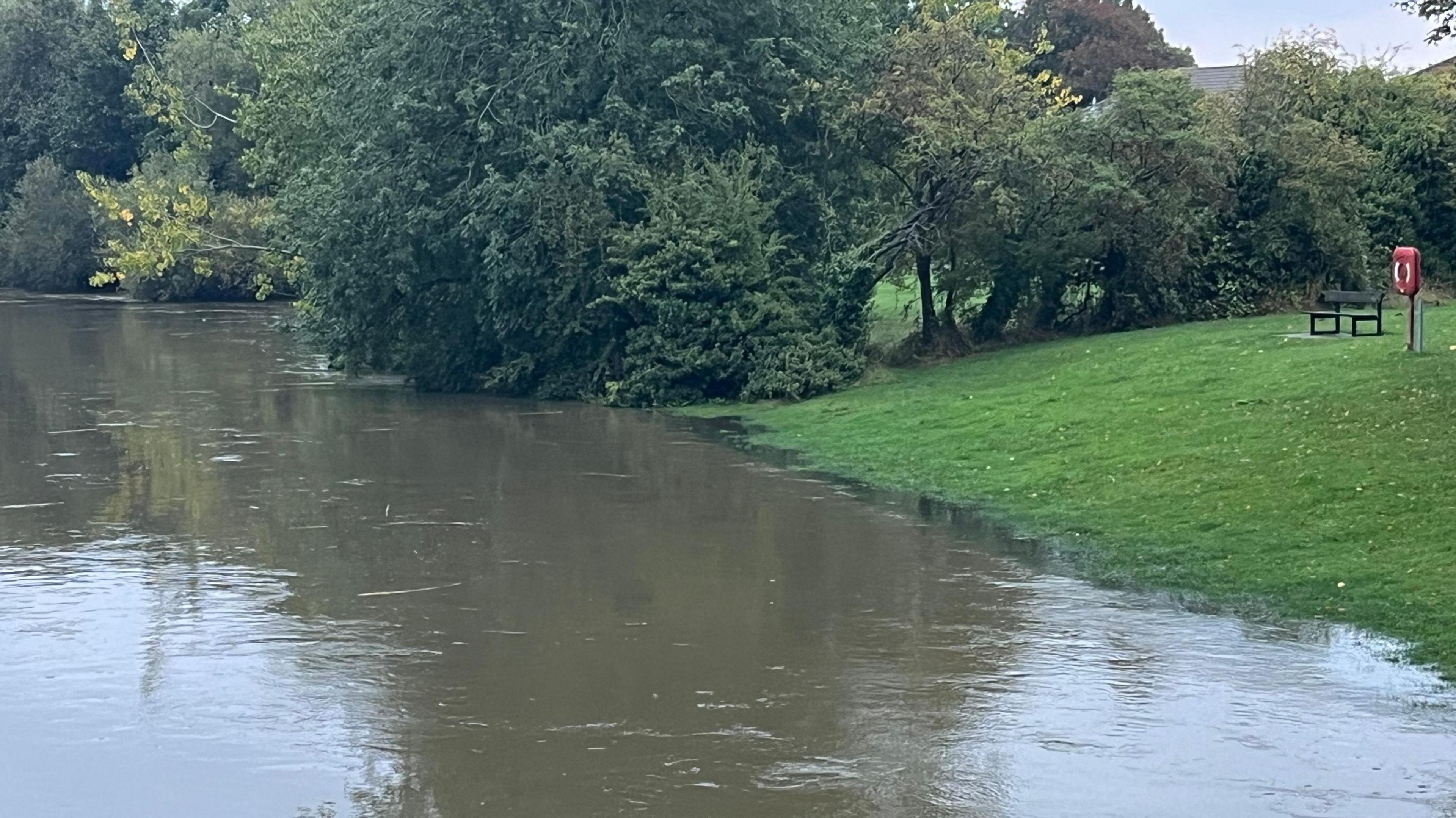 The River Great Ouse has burst its banks, with muddy-coloured water lapping onto a grass slope with trees