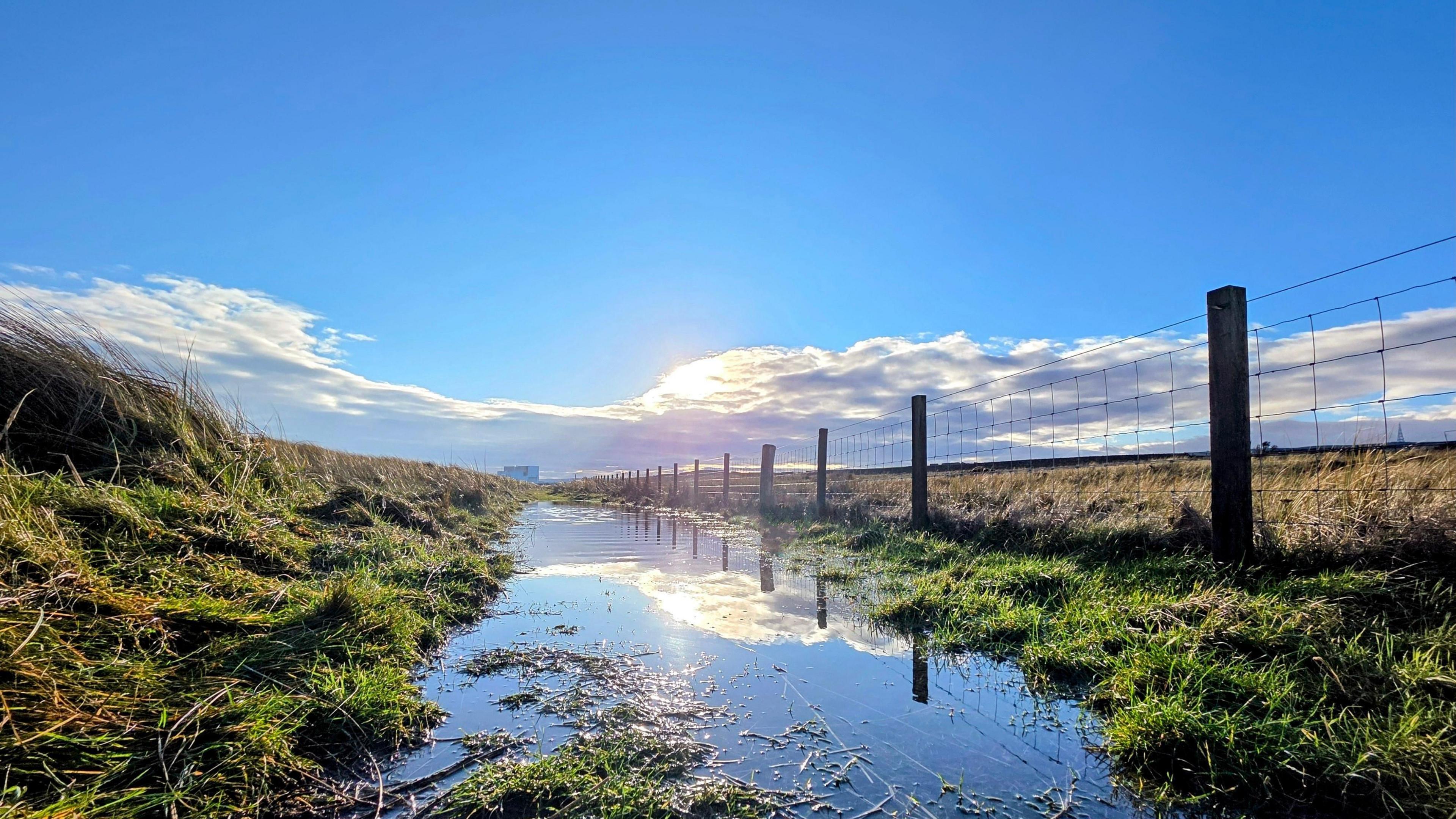 photo of a field and wire fence with a big puddle that is reflecting the blue skies and sunshine above it