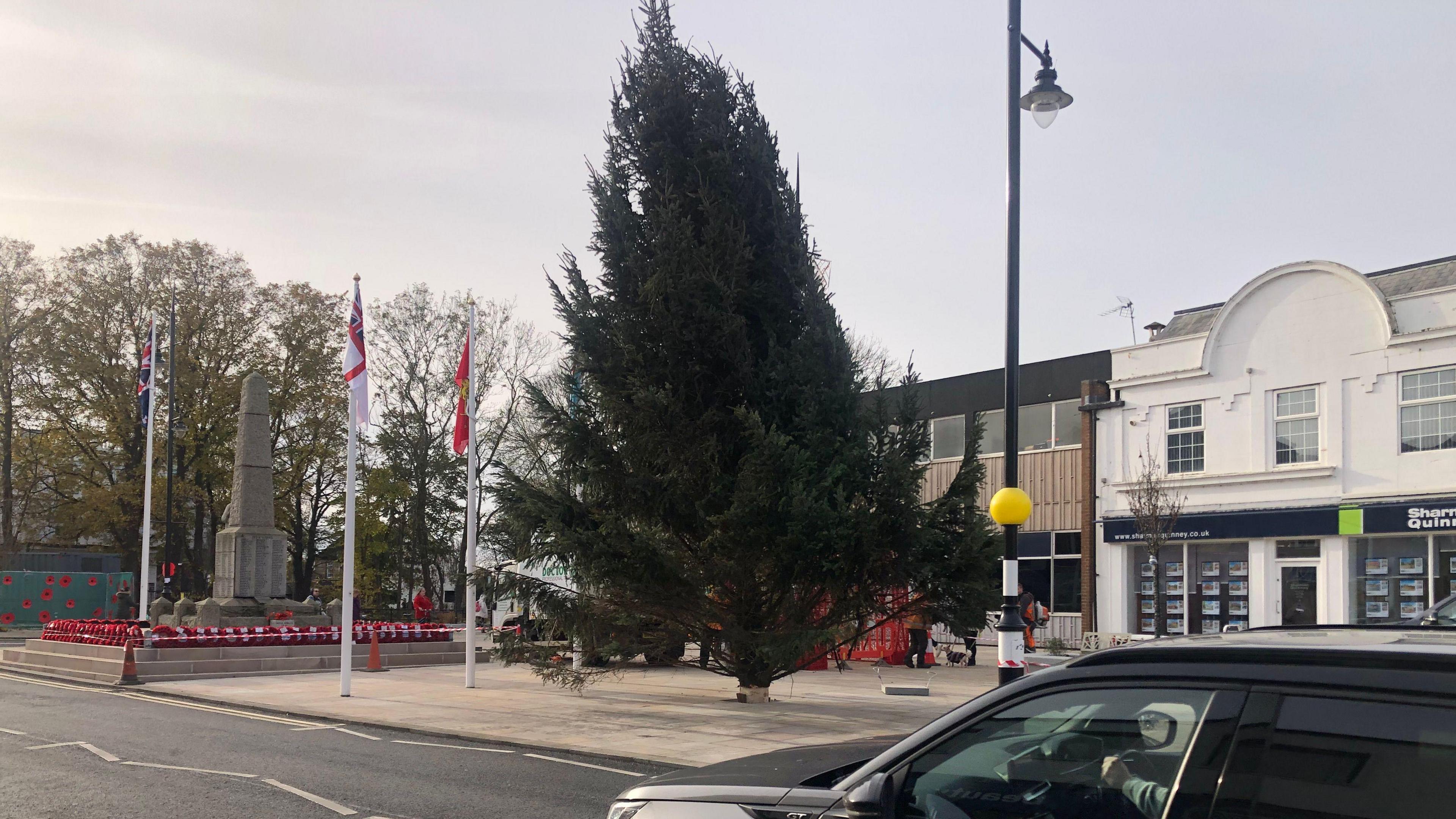 A 9m (30ft) Christmas tree, lush and green and leaning slightly to the left. There are shops behind it and the March town war memorial to the left, complete with many red poppy wreaths. A black car is in the foreground, driving along Broad Street