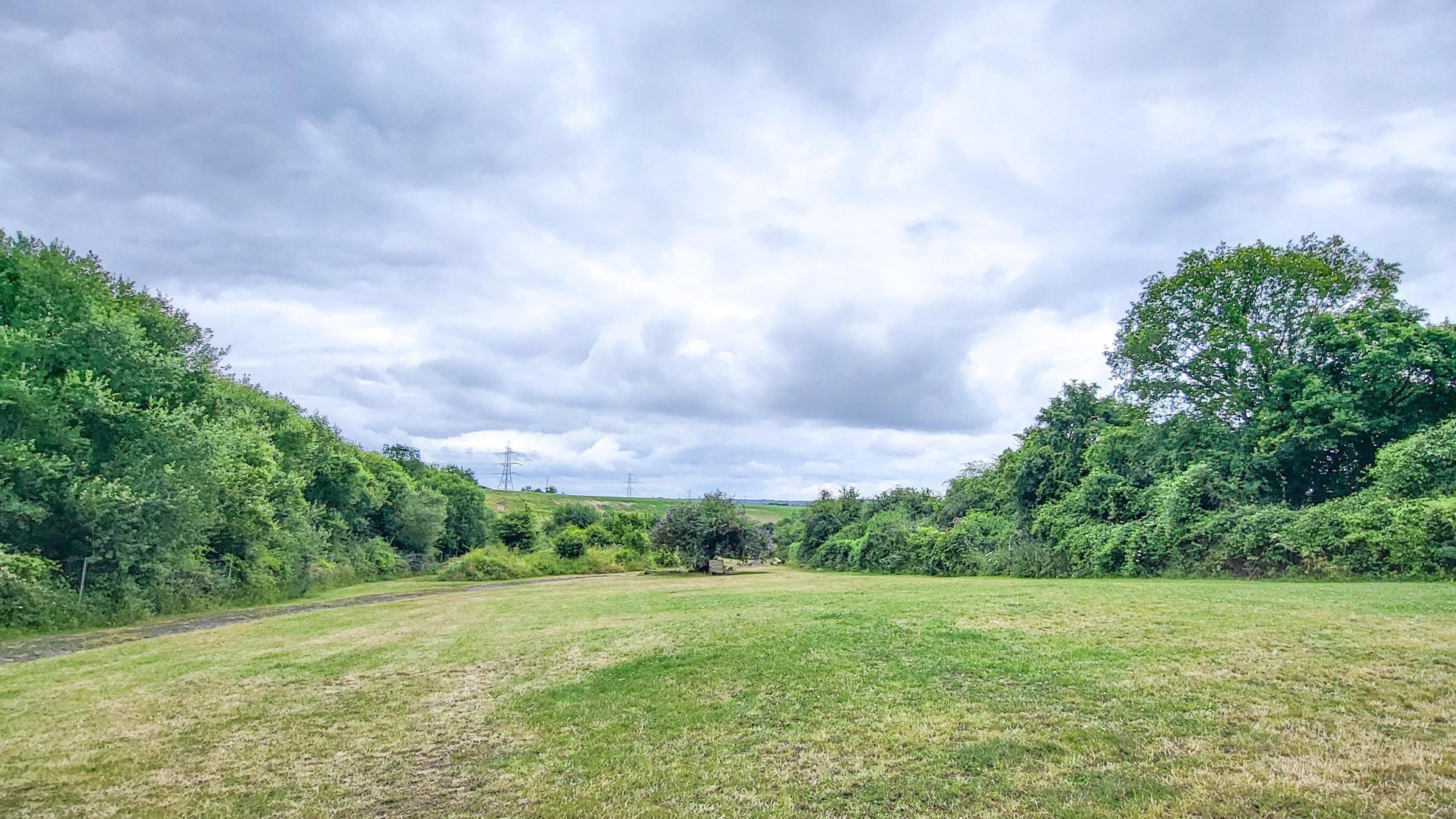 THURSDAY - A mowed green field surrounded on three sides by lush green hedges. There is a single tree in the centre of the field and on the horizon you can see electricity pylons in the countryside. The sky overhead is blue with dark grey clouds