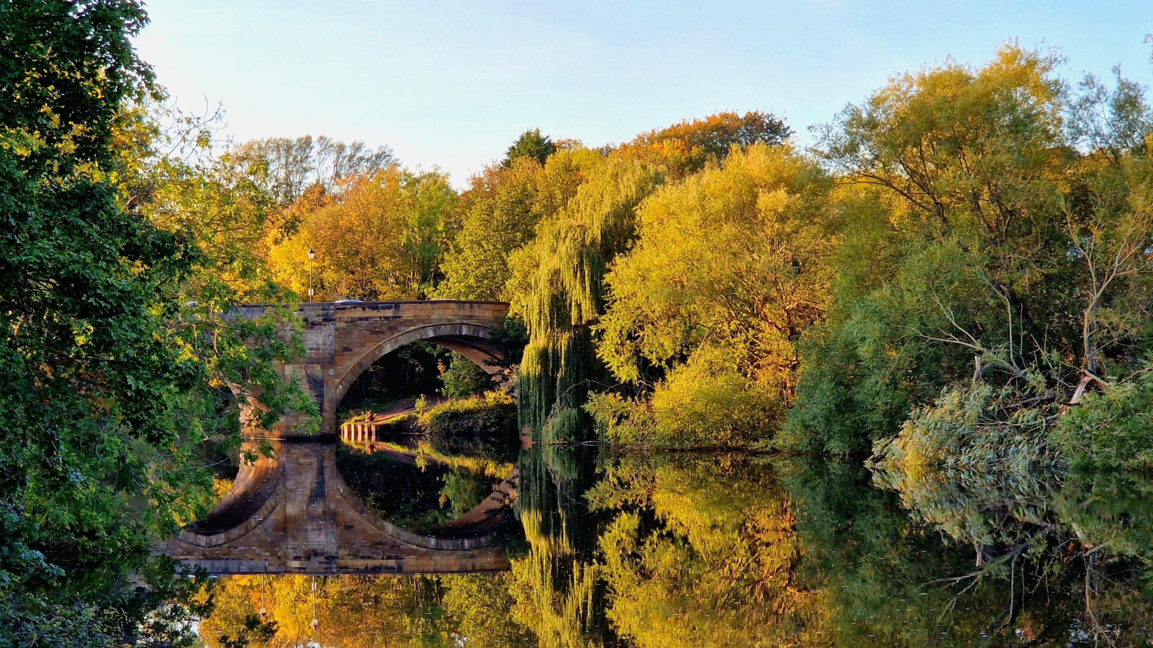 The reflection of two of the arches of the stone Yarm bridge in the river below. The bridge is surrounded by lush trees lining the banks of the river. Some leaves are green and some are yellow.