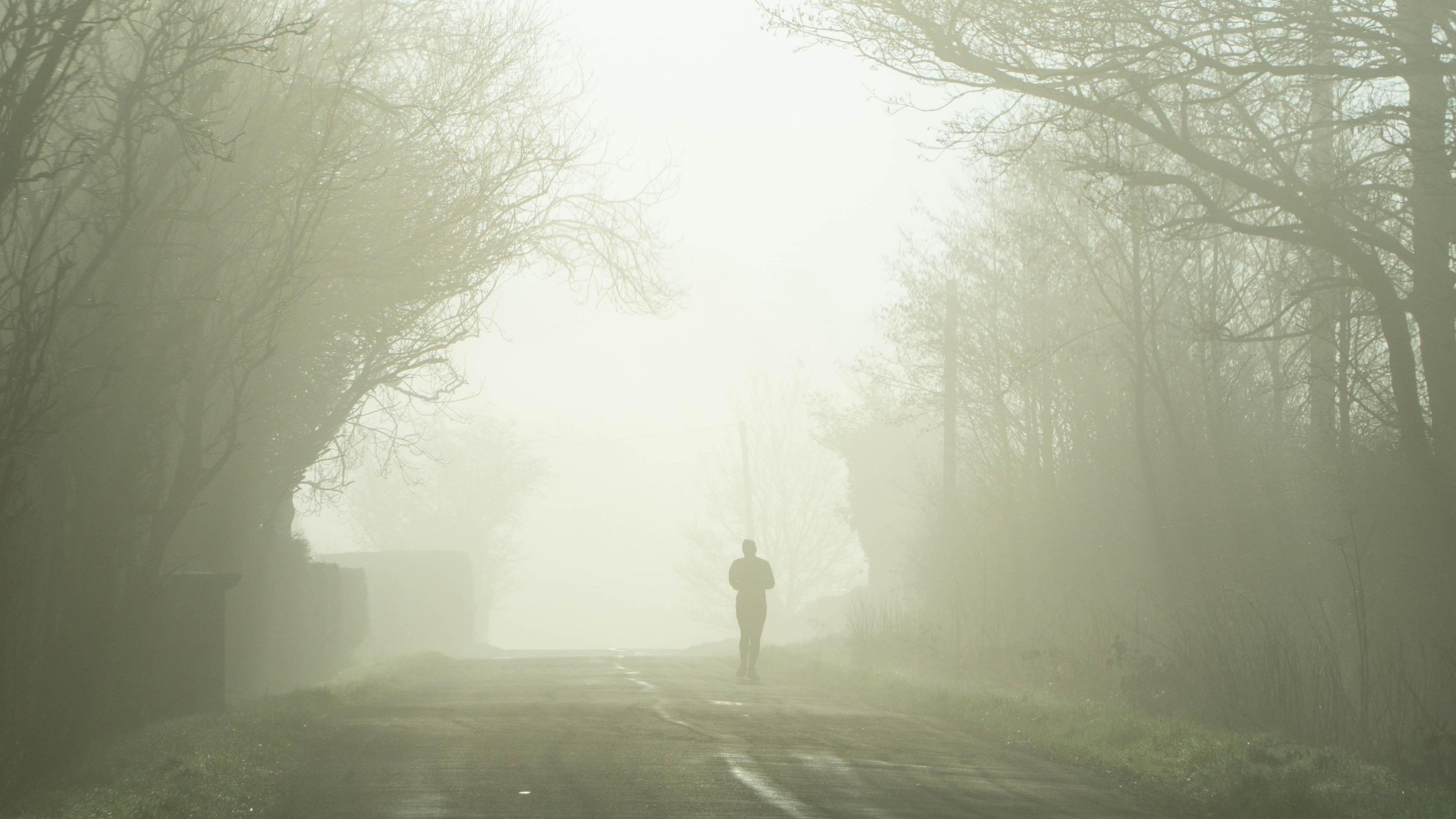 A lone figure on a foggy country lane framed by trees