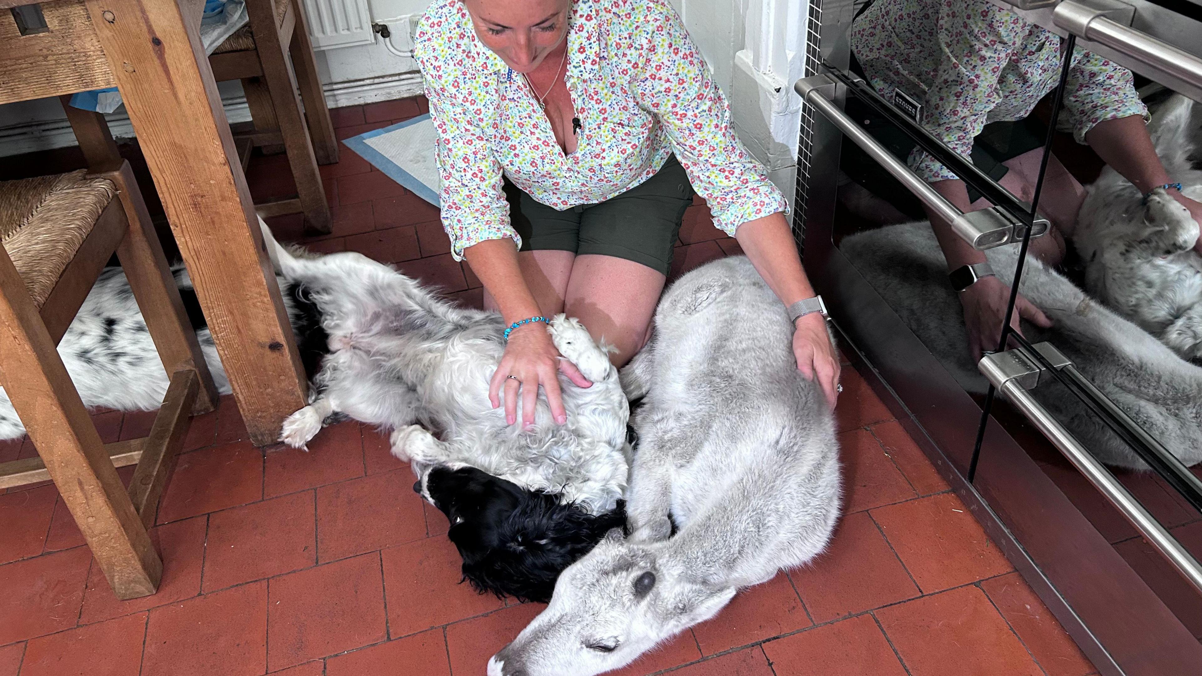 Angie Nelson, wearing a floral top and green shorts, is kneeling on her quarry tiled kitchen floor next to a silver double oven and has one hand on her spaniel's stomach and another hand on the side of the reindeer.
