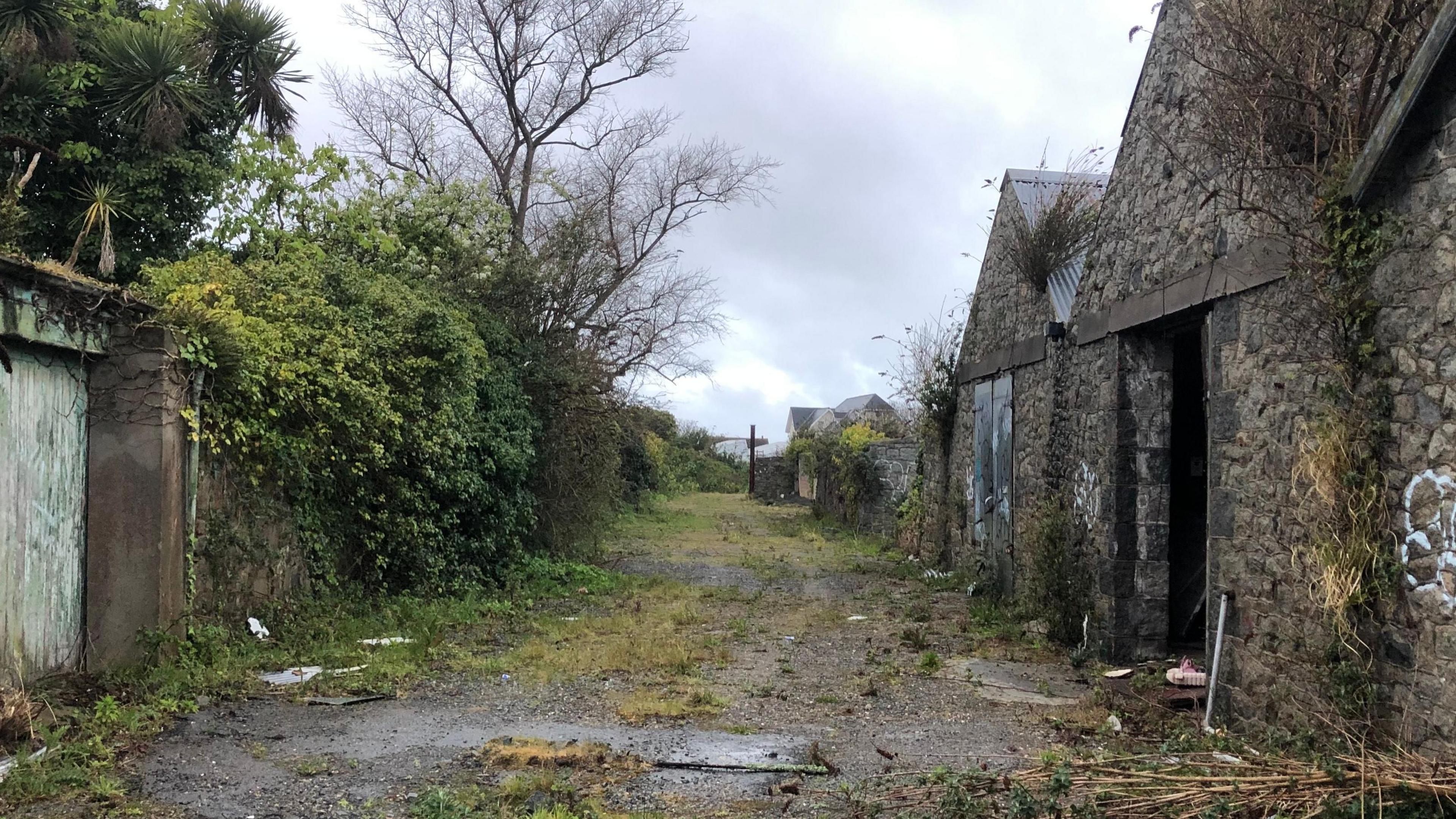 A derelict site with brick building son the right. 