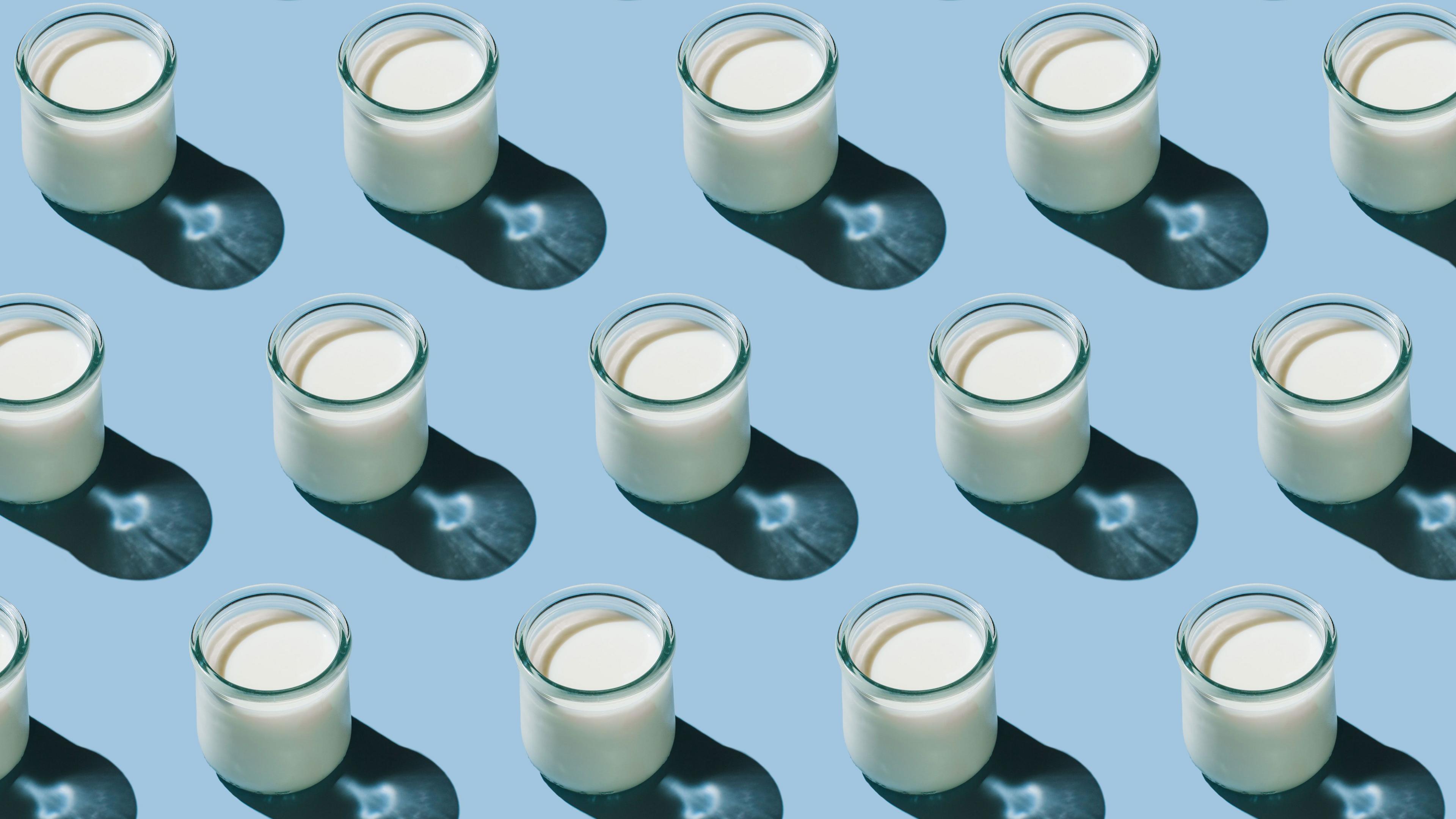 Small glasses of kefir in diagonal lines on a pale blue background