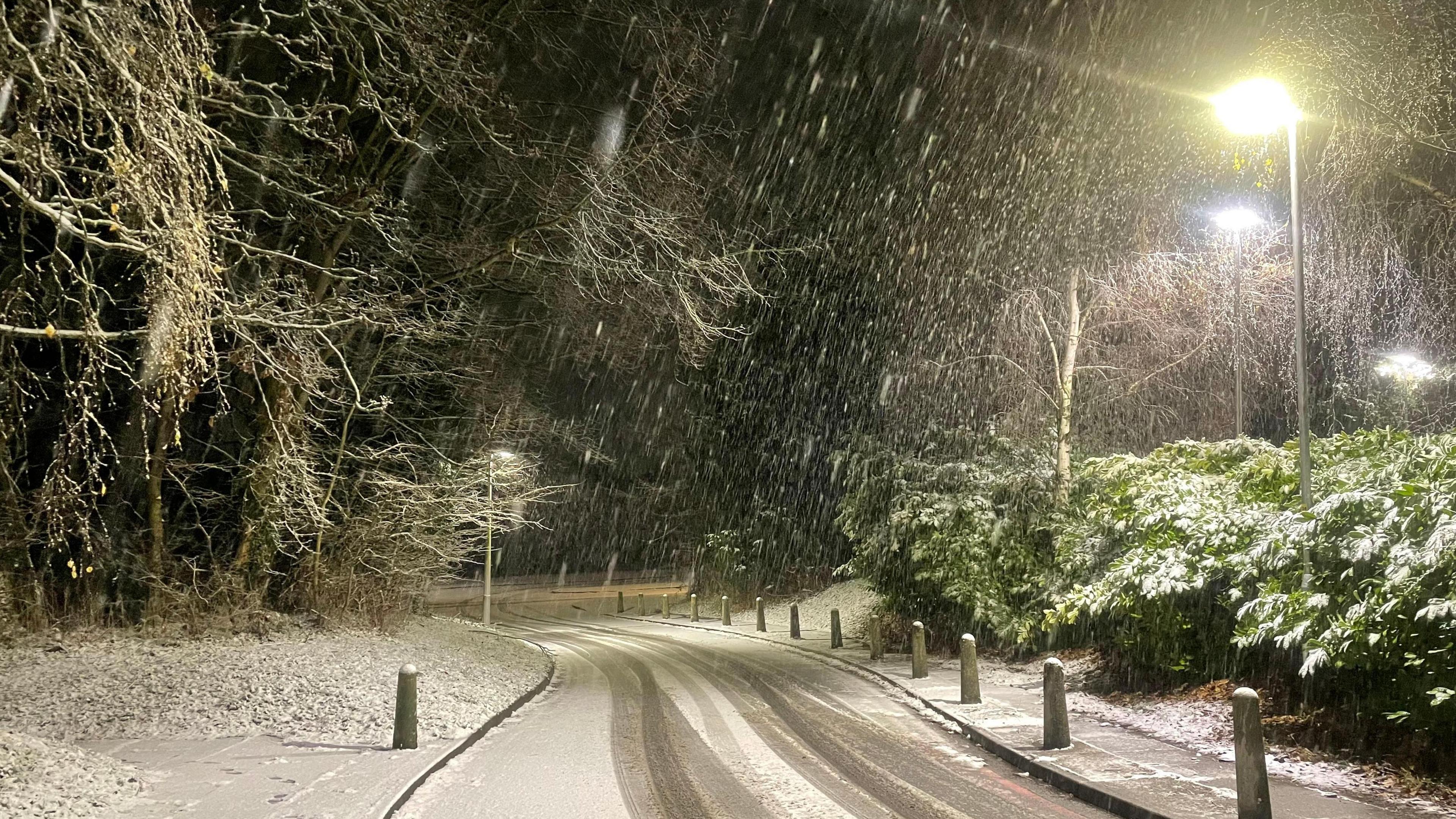 A road in Bury St Edmunds with snow on it, falling from the sky, and on bushes and trees. 