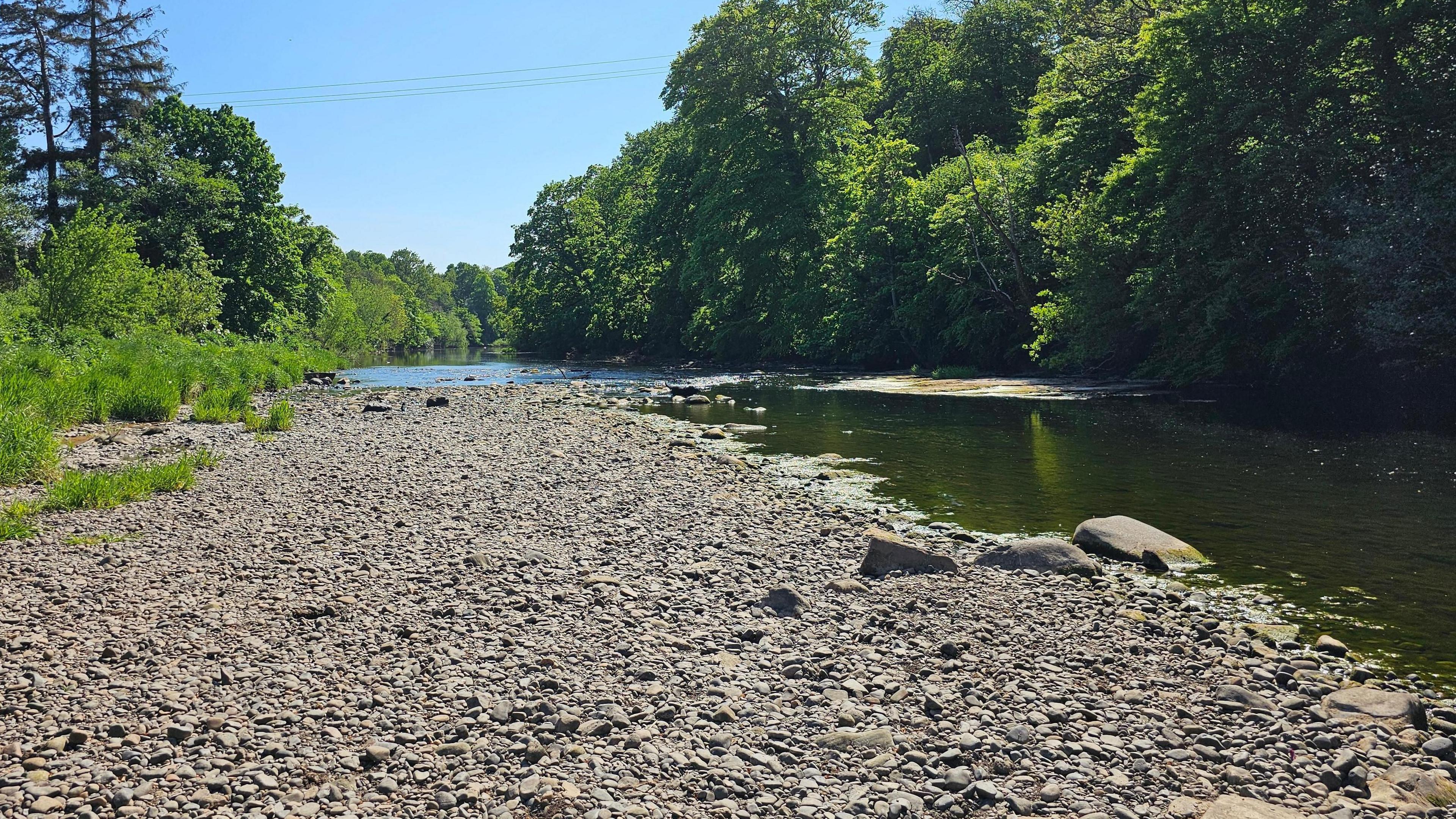 A dry river bed with lots of stones