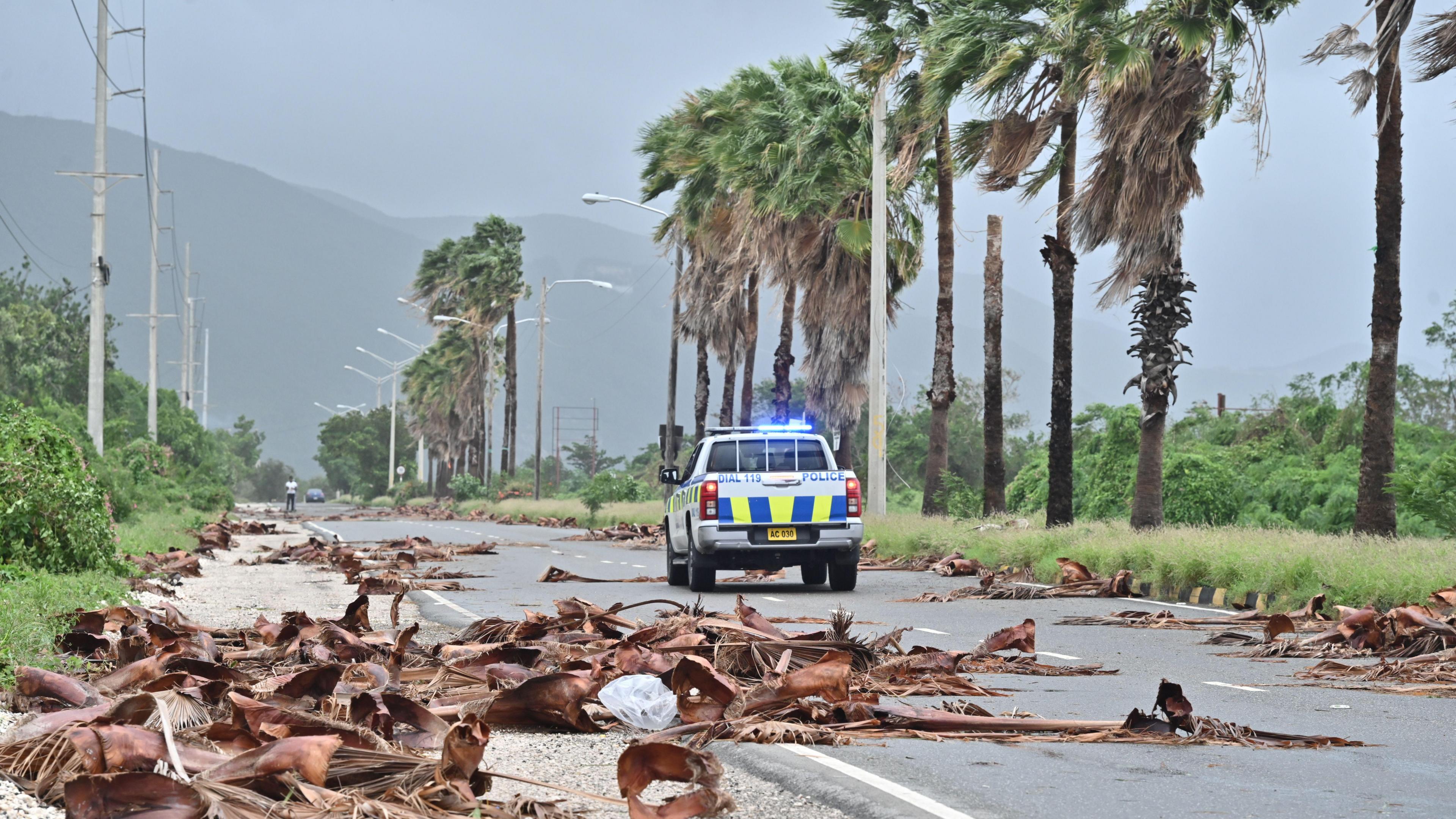 Fallen tree debris along a road left behind by Hurricane Melissa in Kingston