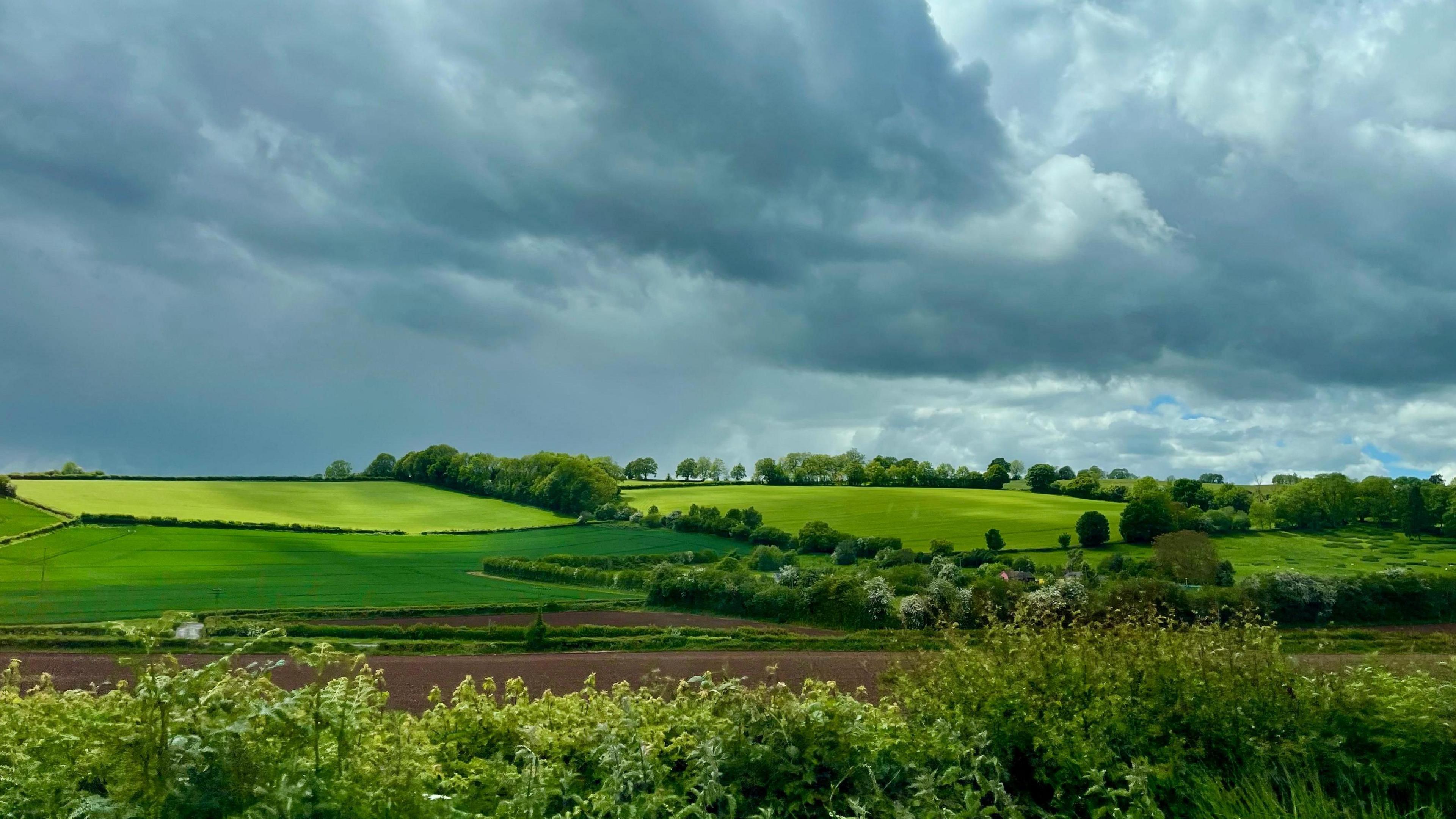 bright green fields and hedges with menacing clouds ahead showing the threat of some rain