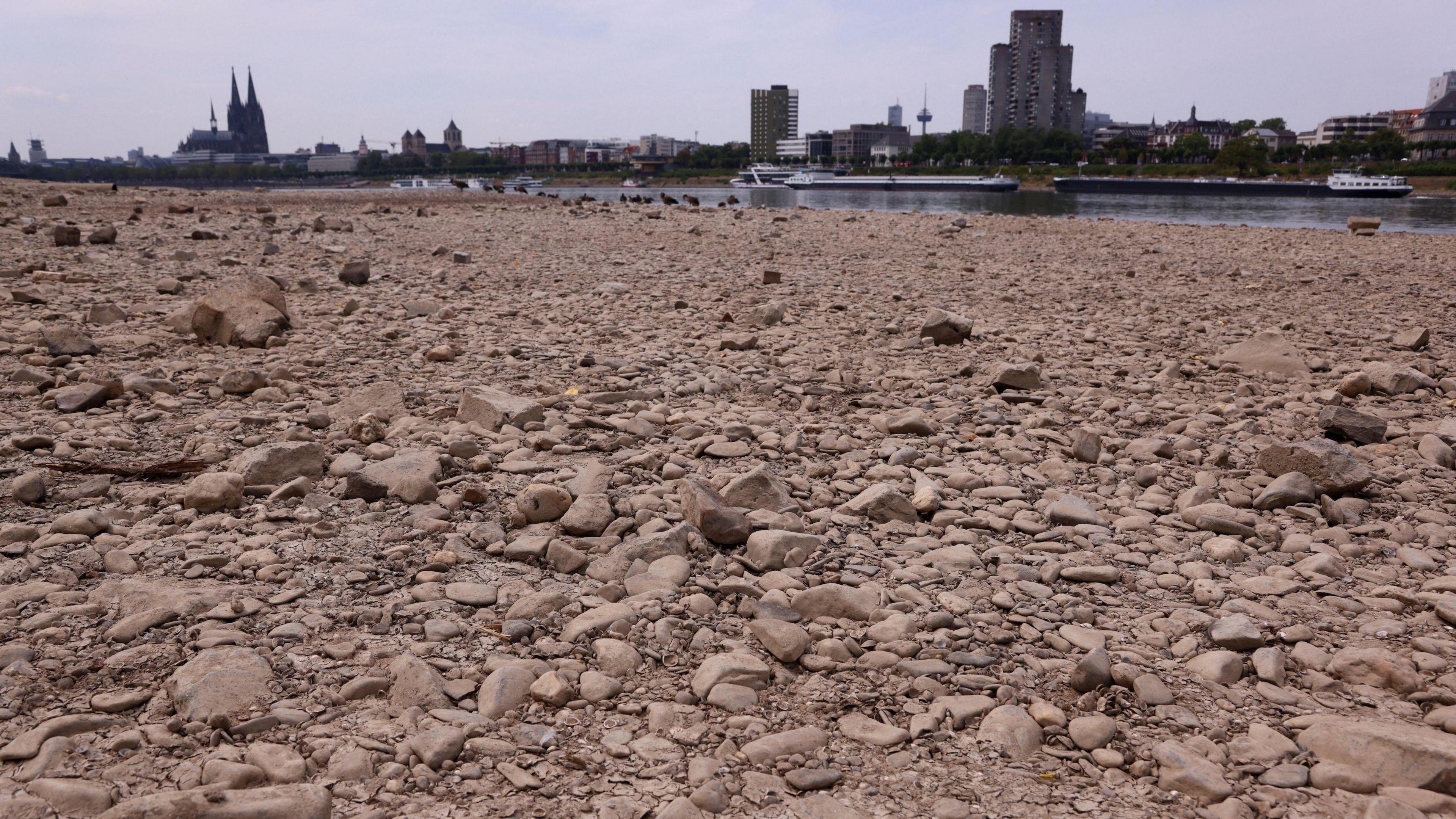 The river banks of the Rhine dried up. Where water should be there is dry rocks. In the distance there is cargo ships on the strip of water.