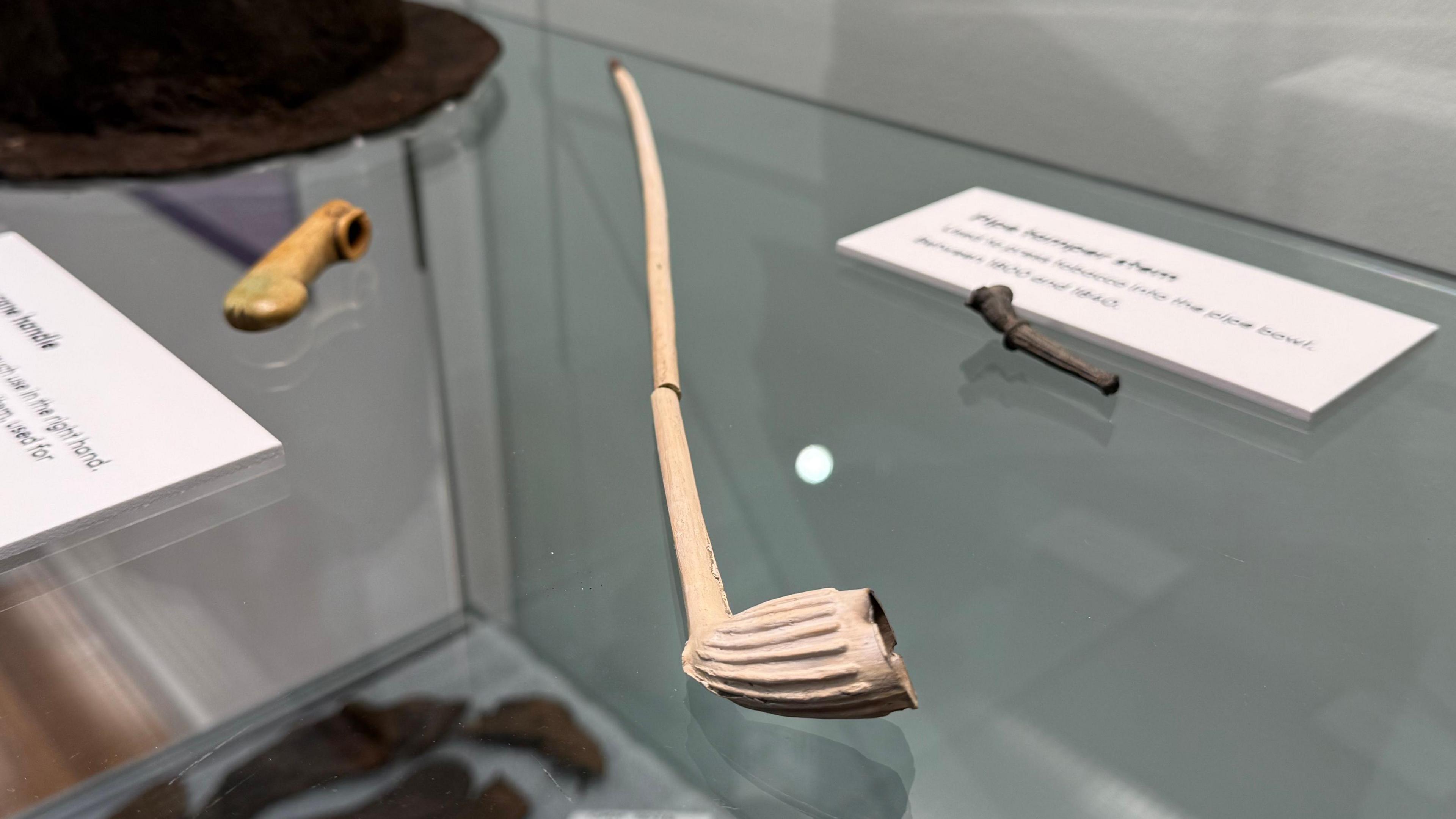 The photo shows a tobacco pipe. It has a long, thin stem, which measures over 40cm (16in) long. It is made of clay and is a beige colour. It is snapped in half in the middle, and is laid in a glass cabinet. 