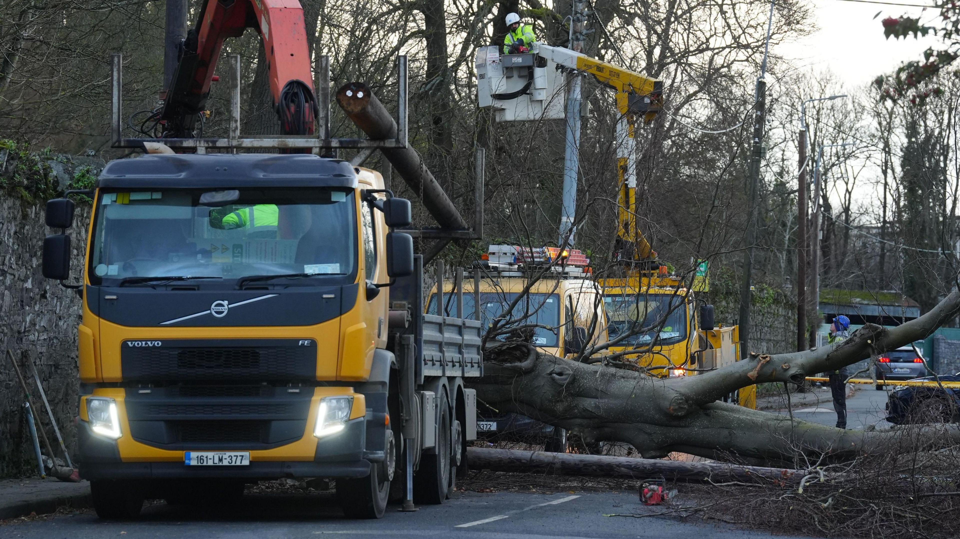 Workers removing a fallen tree from a road in Dublin. 