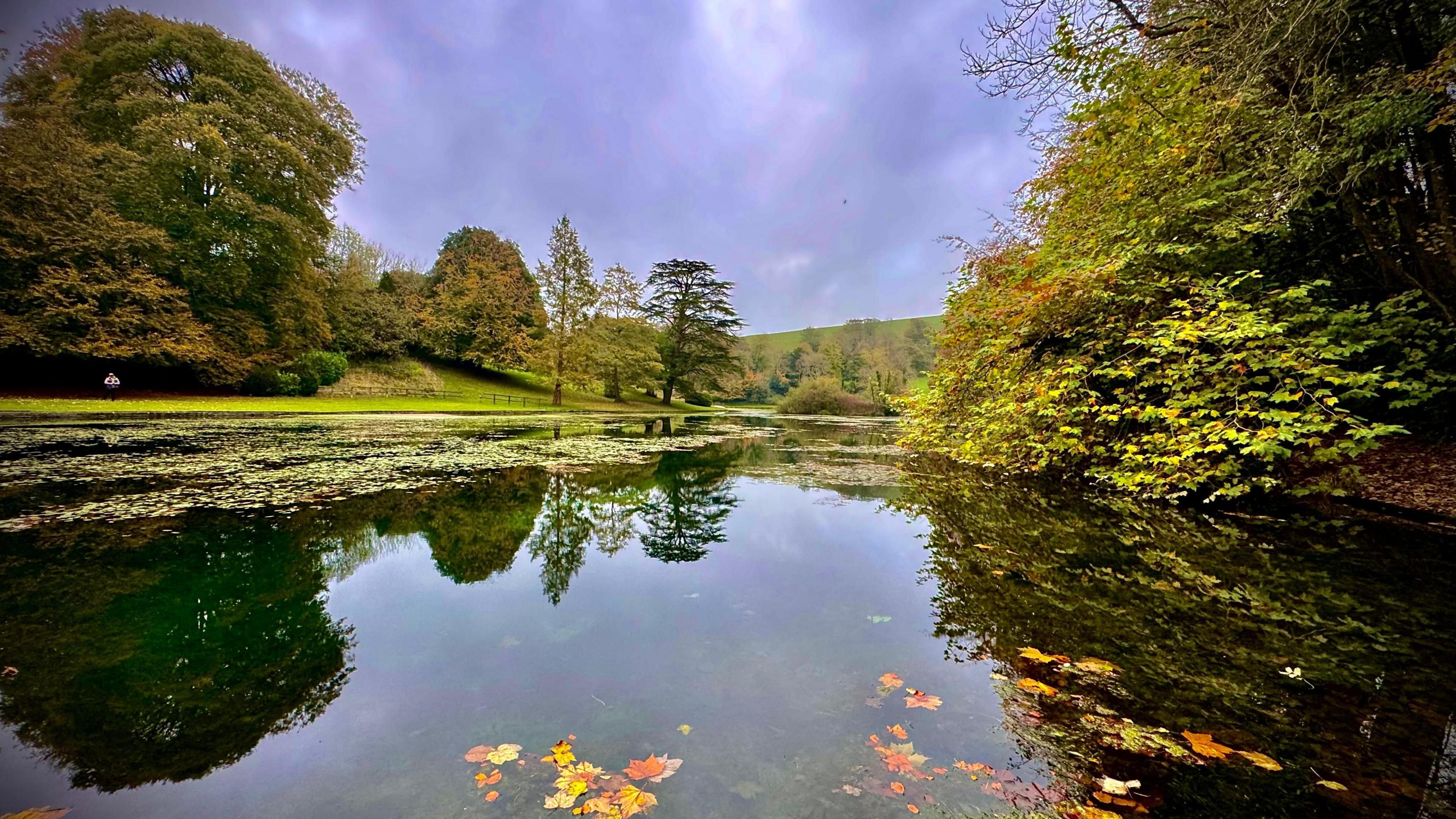 A large pond containing several colourful leaves in the foreground and surrounded by green grass and trees. The clouds in the sky are a dark shade of grey. 