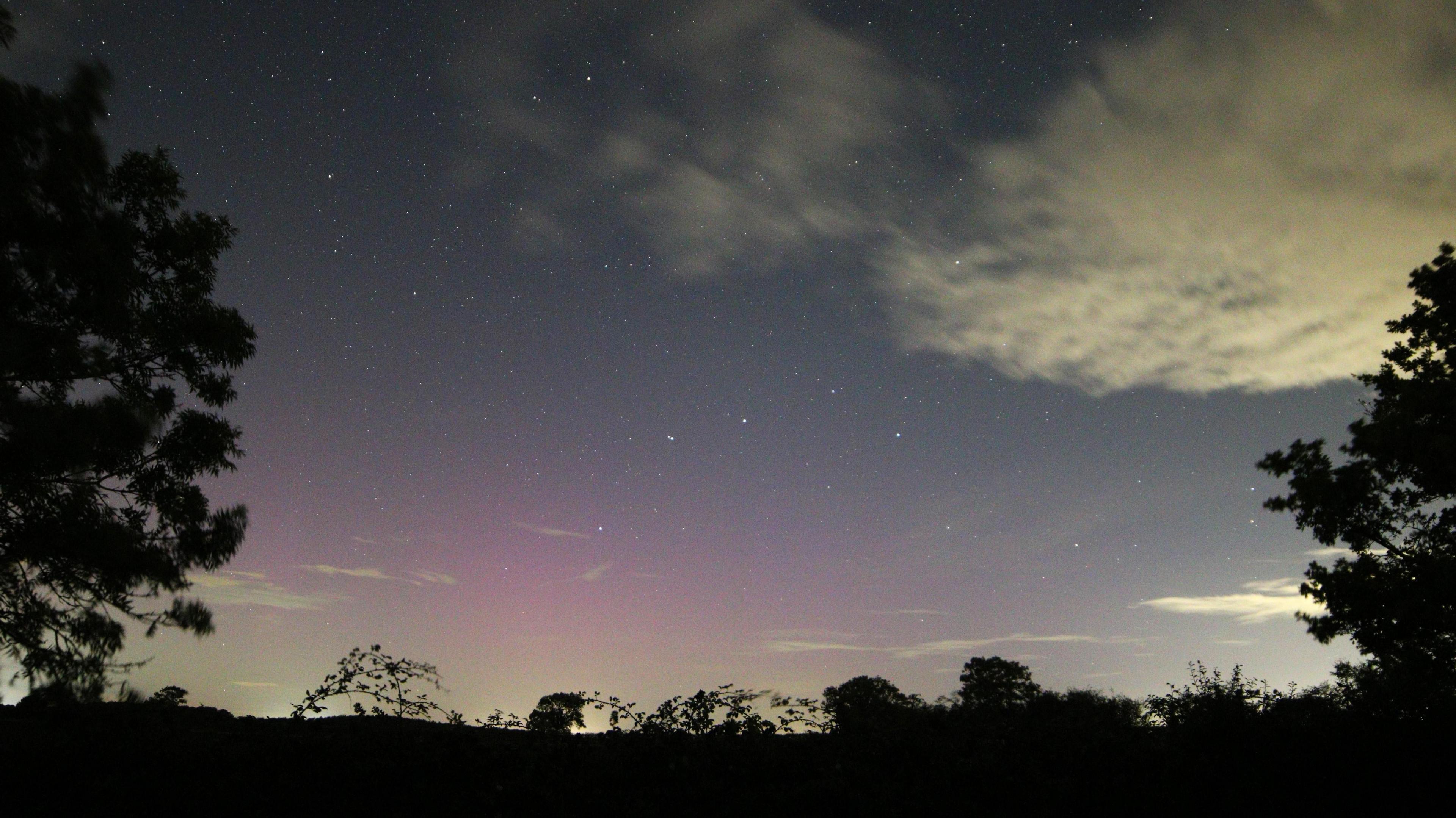 A night sky is lit up brightly in shade of pink and purple. There is a large bollowy white cloud in the sky and on the horizon are some trees and shrubs