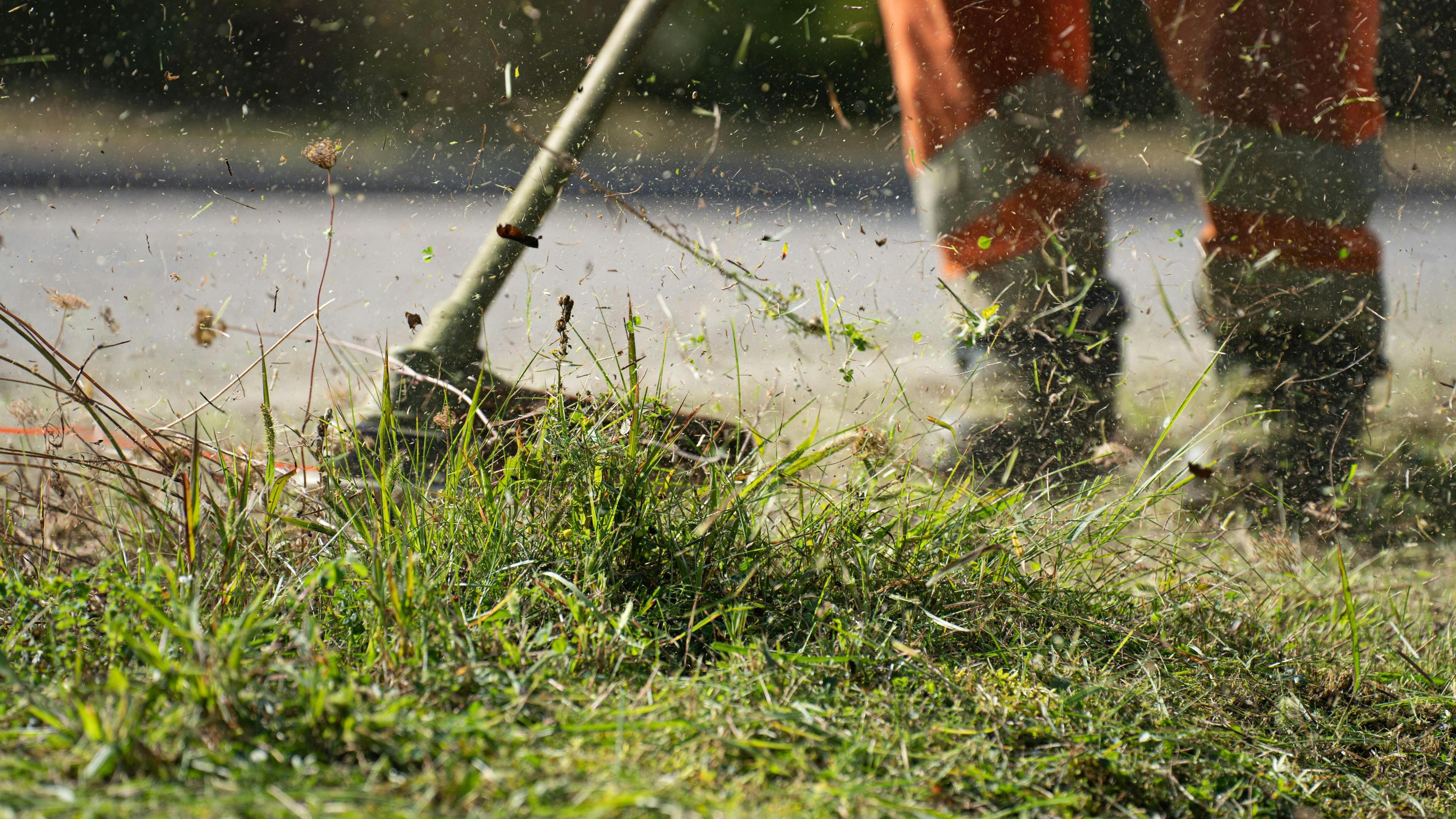 A close up imagine of wildflowers and tall, green grass that is being cut down by a streamer. A pair of feet can also be seen, with the bottom of some orange, high-vis trousers.