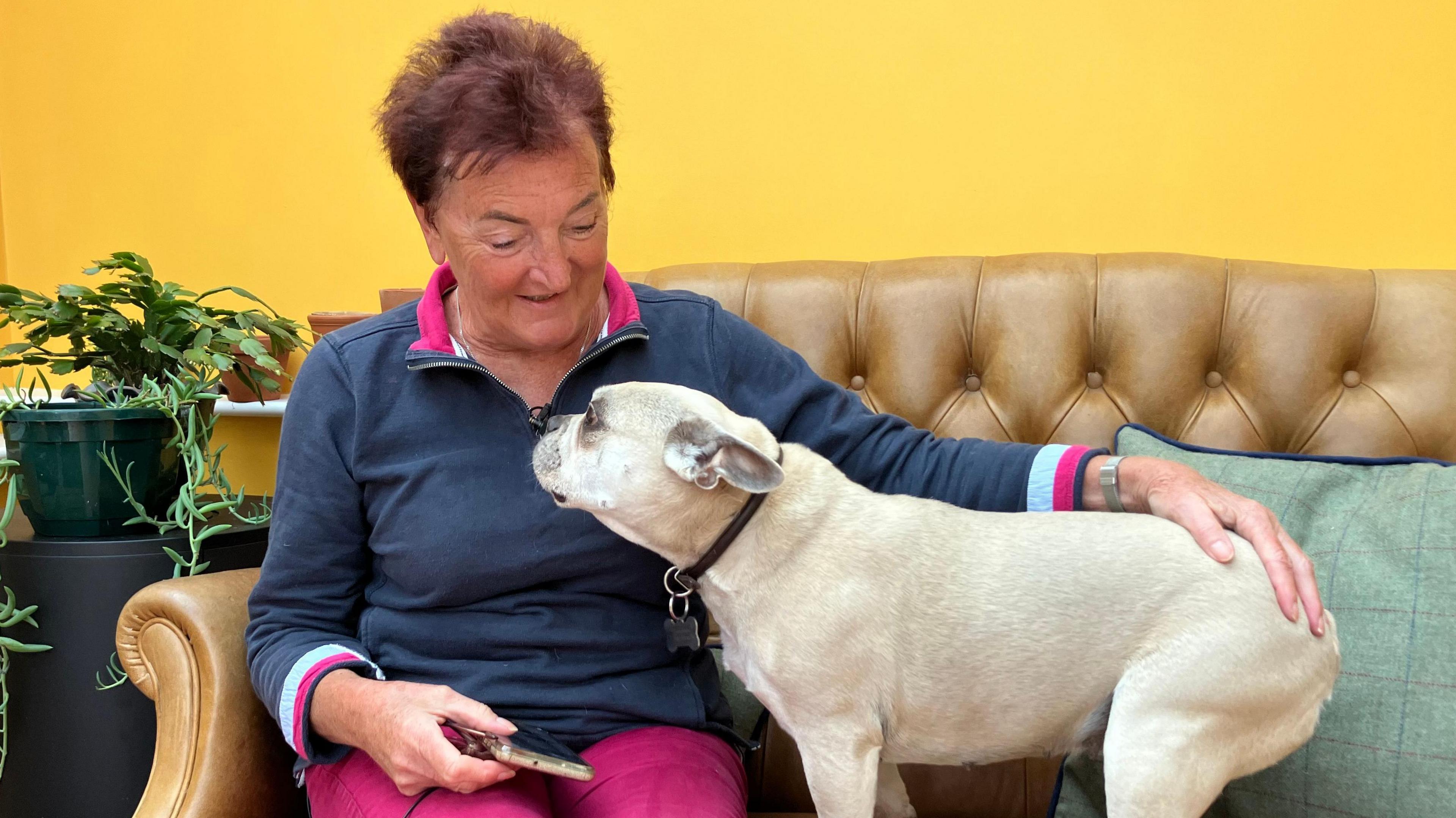 Sally Nicholls sits on a brown leather sofa with her dog, a light-coloured, short-haired breed with a black collar. Sally has short, brown hair and wears a blue shirt with magenta and light blue trim, and magenta-coloured trousers. To her right is a green plant which stands in front of a deep yellow wall.