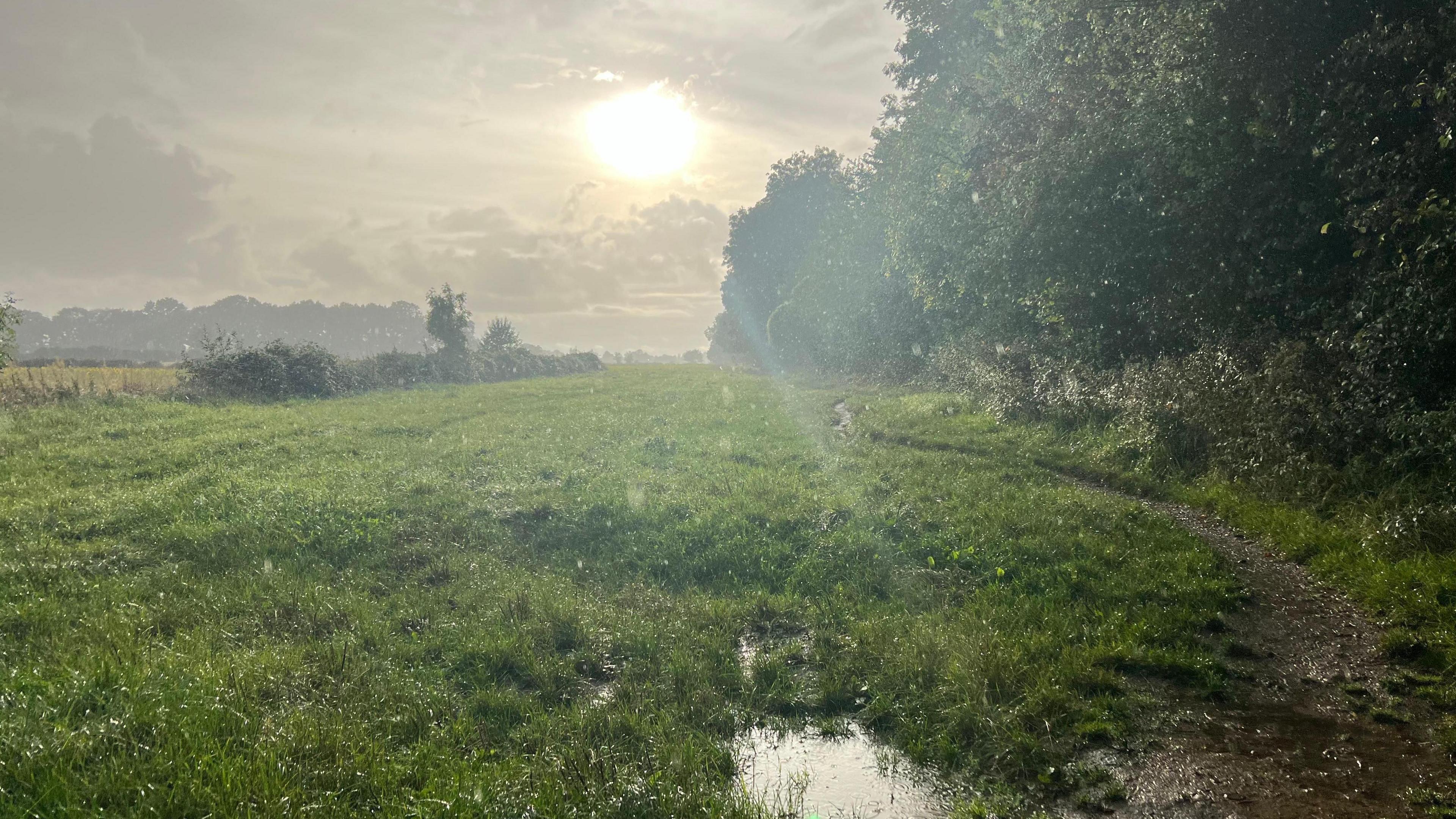 A wet-looking field containing a large puddle sits beneath a grey sky, with the sun piercing through the clouds. 