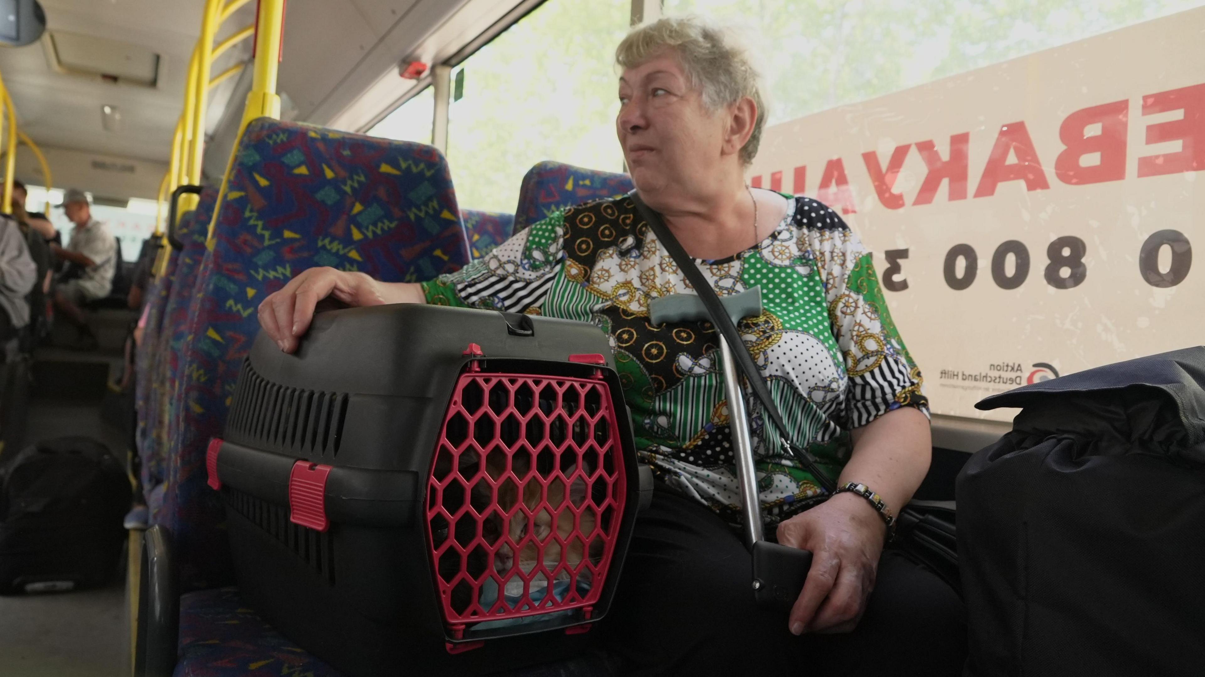 Maria Honcharenko sits on a bus with her cats sitting in a cat carrier on a seat next to her