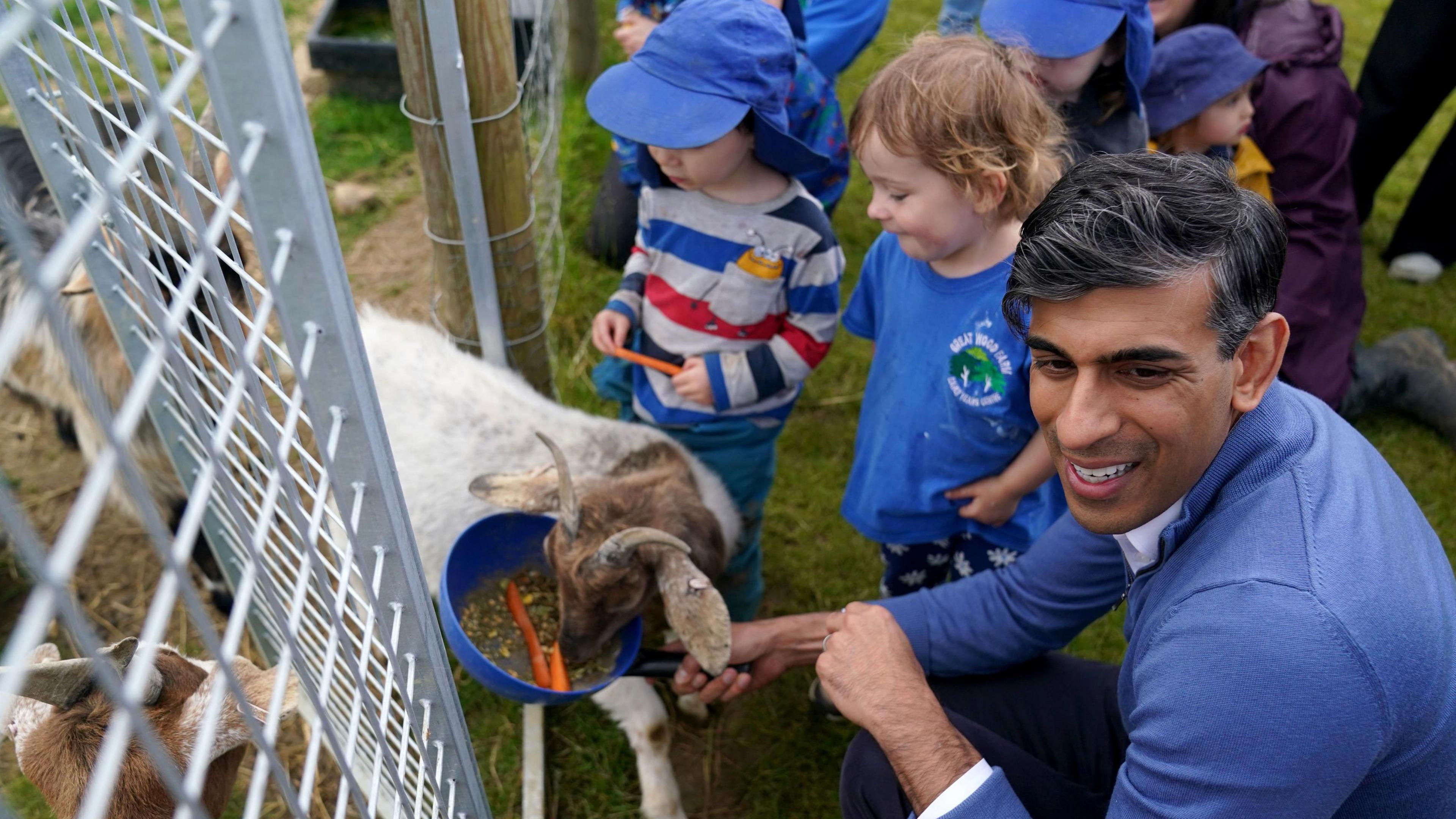 Rishi Sunak wears a blue knitted sweater as he helps toddlers to feed some small goats. He is smiling as he holds the plastic bowl out. 