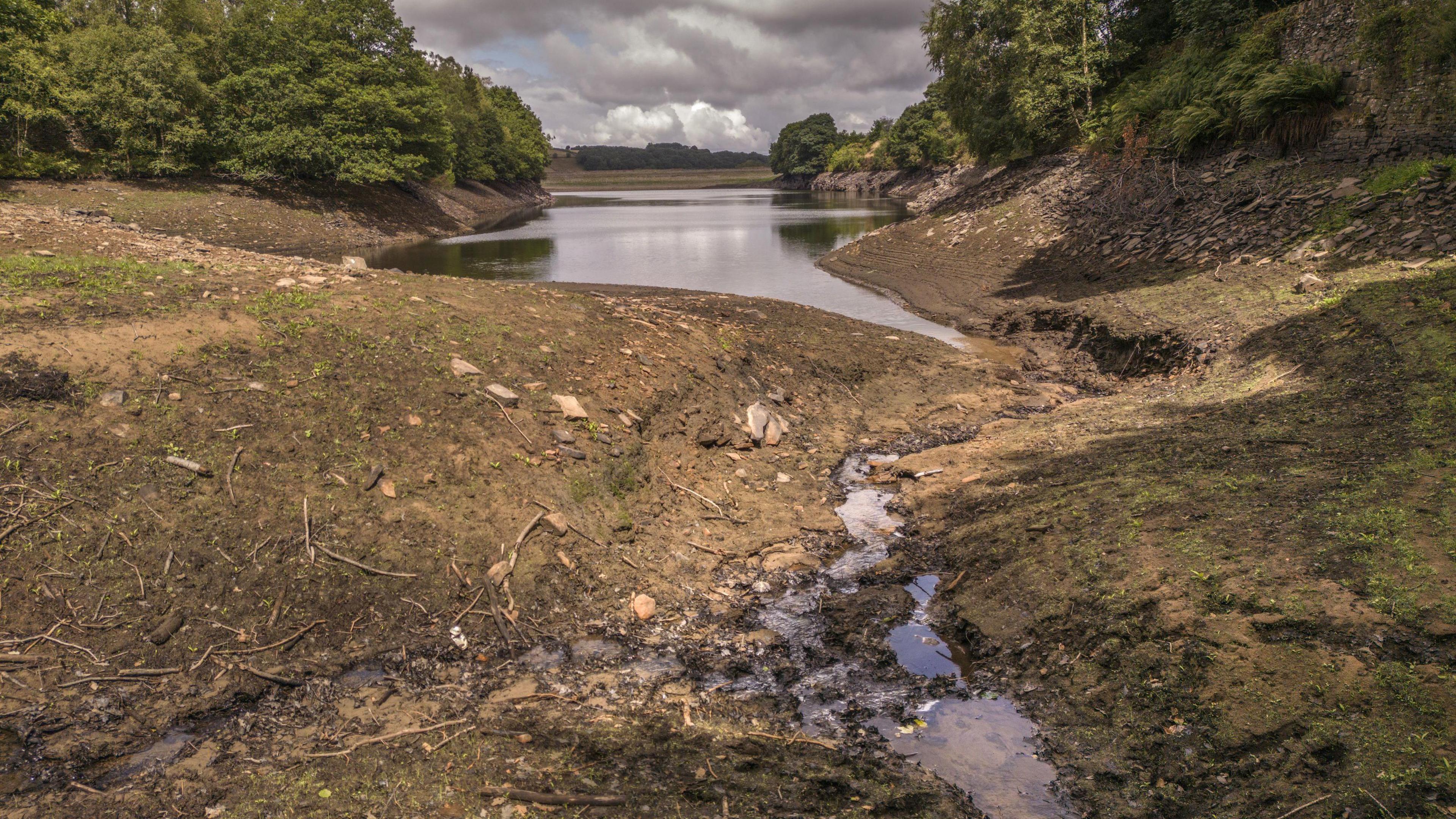 Dry grass in the foreground with a low reservoir in the background 