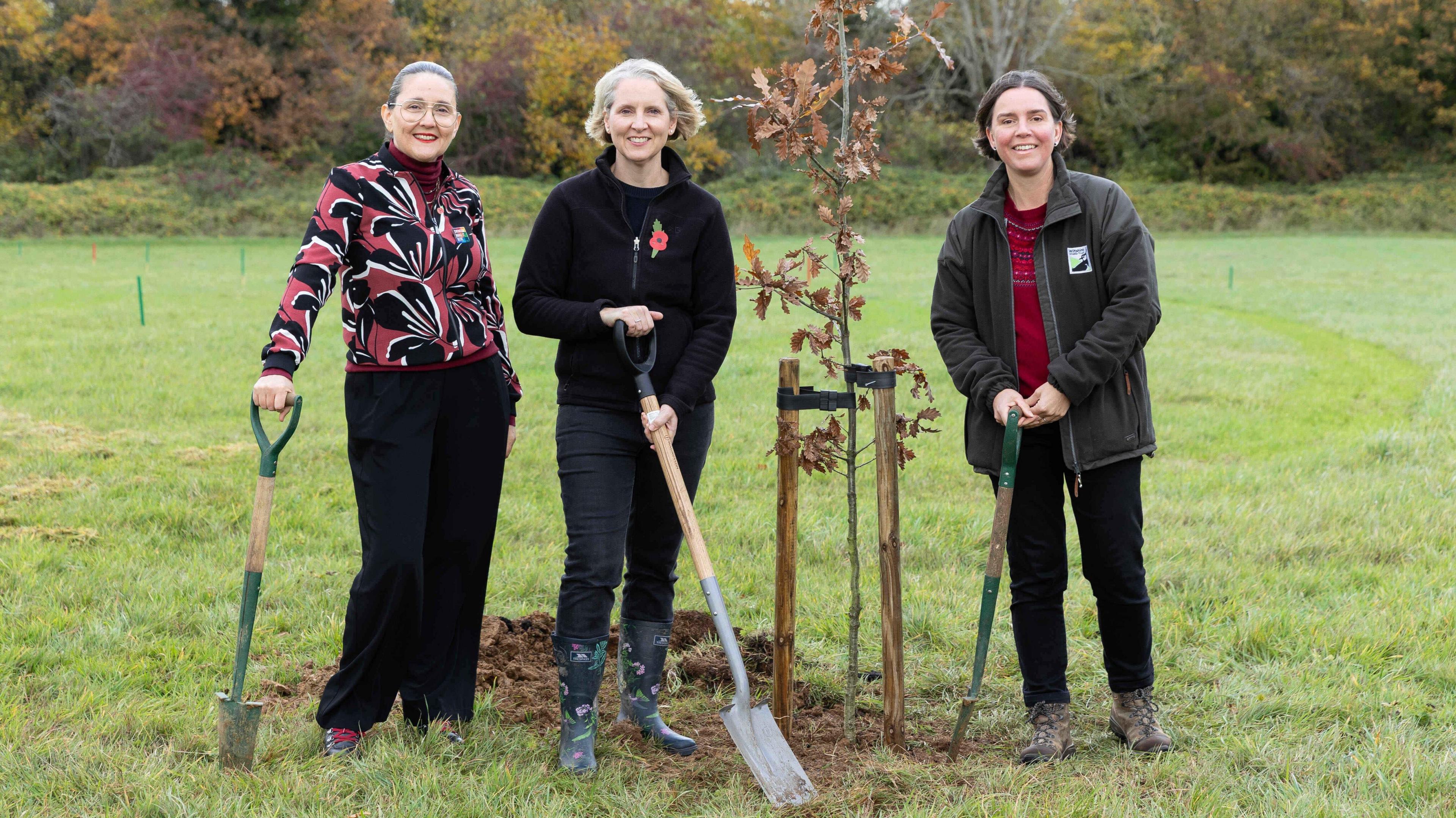 Three women are planting oak trees in a country park. They all have spades and are looking at the camera and smiling. There is a small oak tree planted next to them.