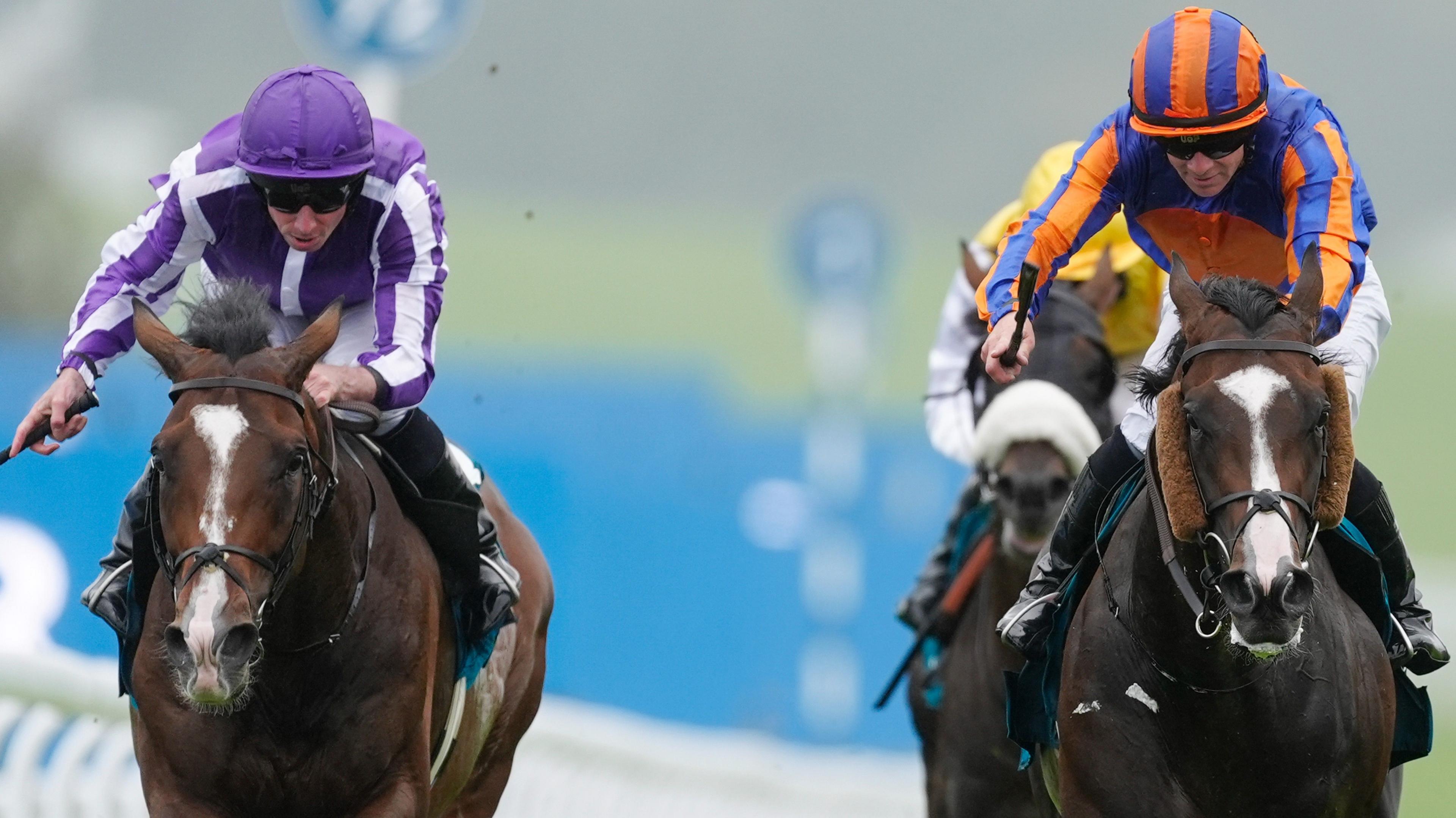 Wayne Lordan riding Scandinavia