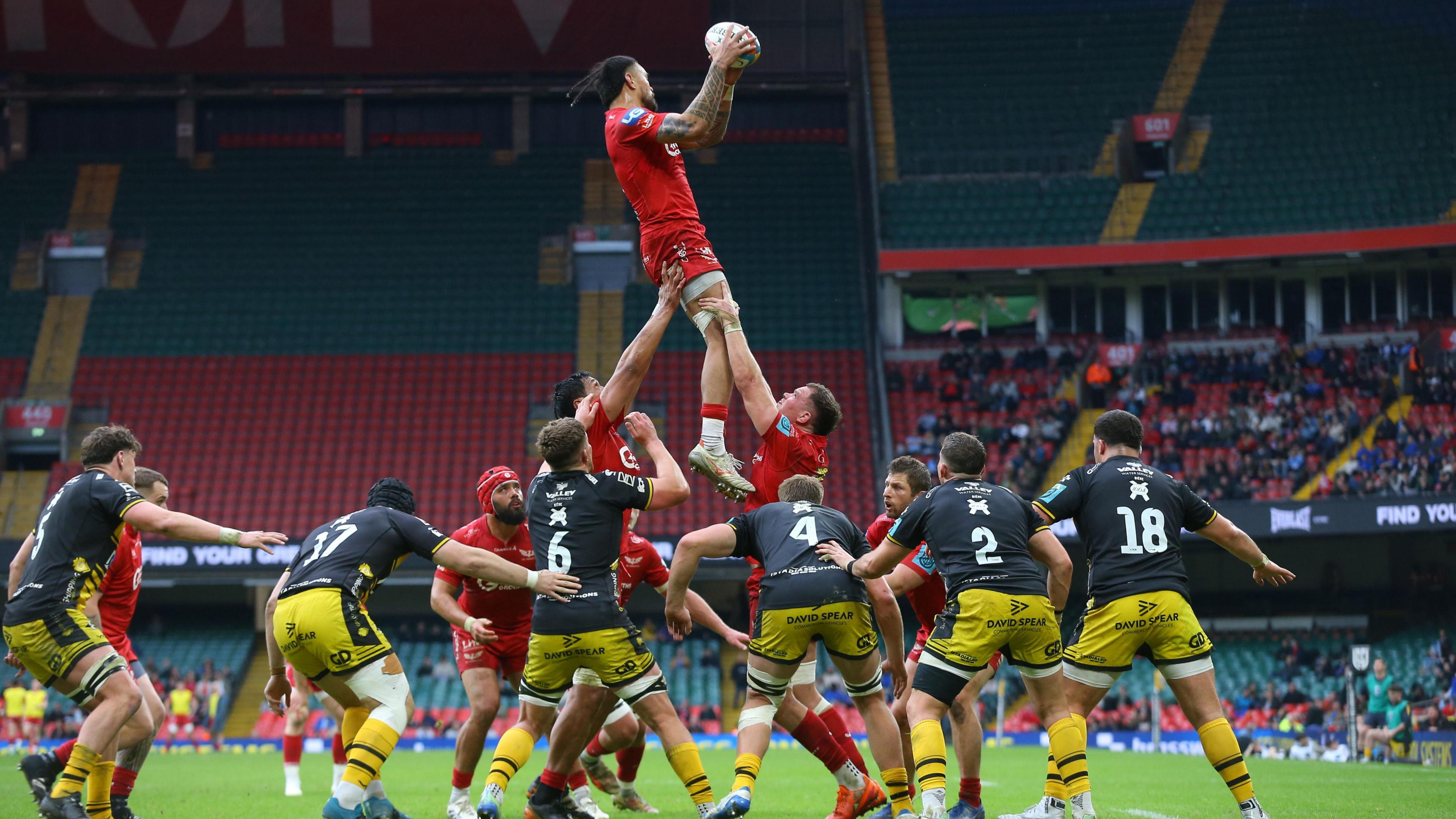 Scarlets yn erbyn y Dreigiau