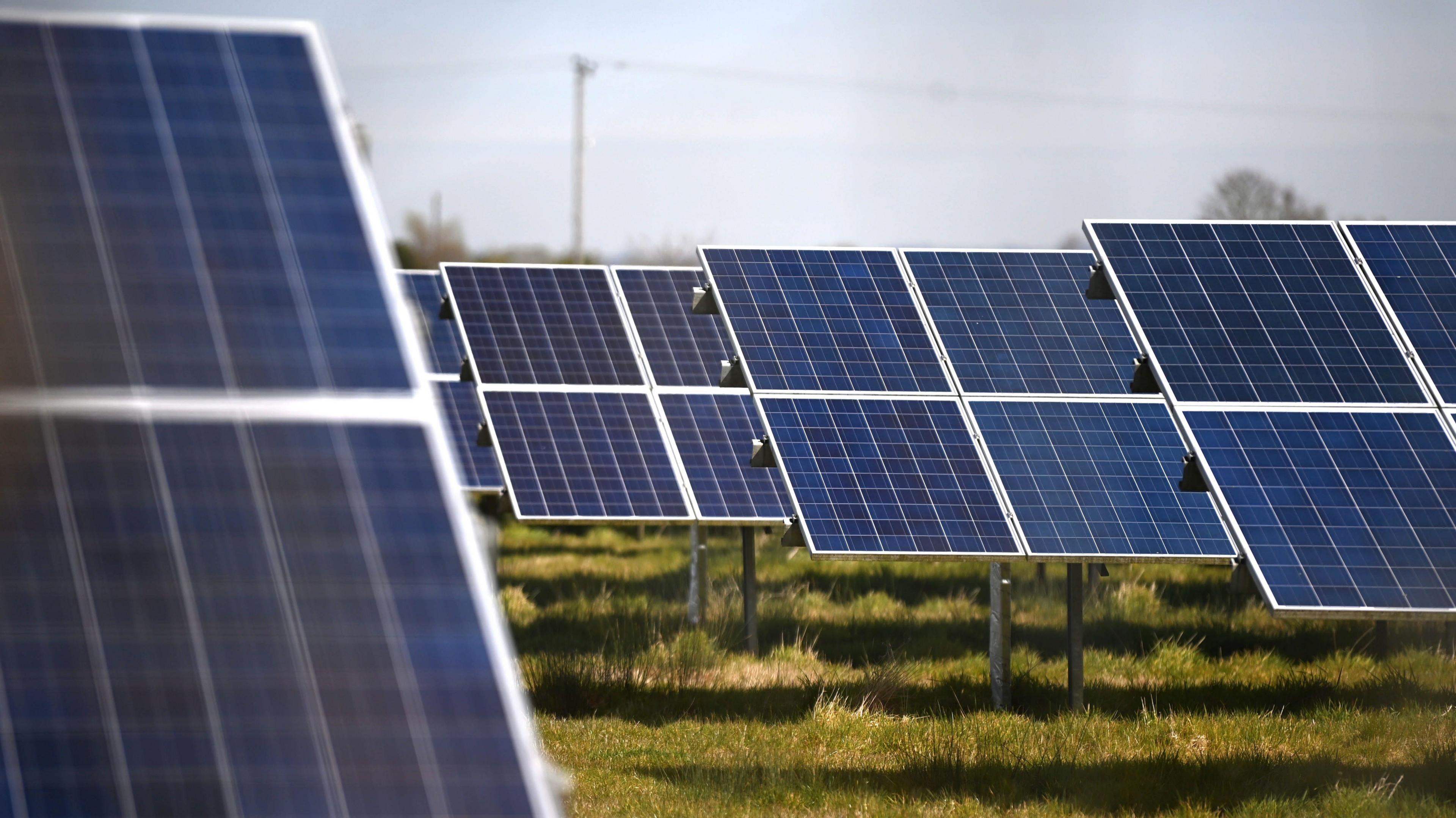 Solar Panels on the Sycamore Farm solar facility in Romney