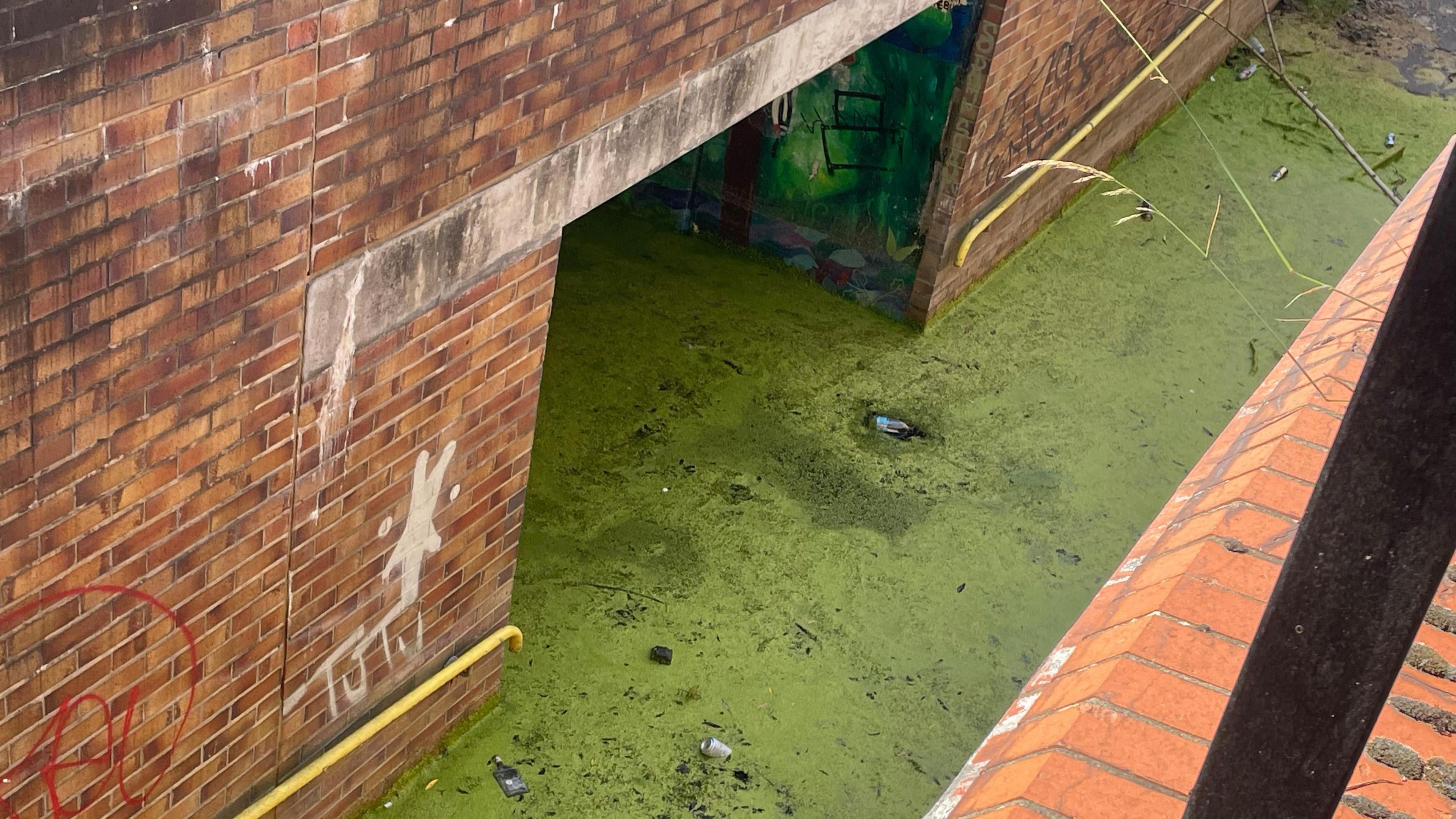 A view from above of an underpass full of green, stagnant water with cans floating in it.