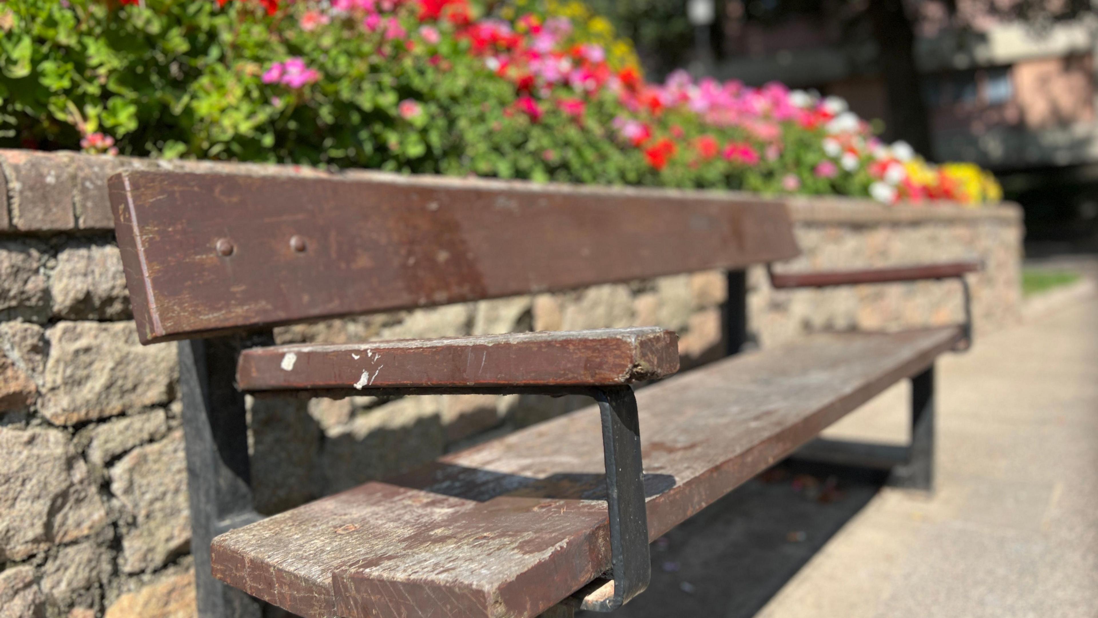 A bench in focus against a wall in Parade Gardens, with flowers in a bed behind it 