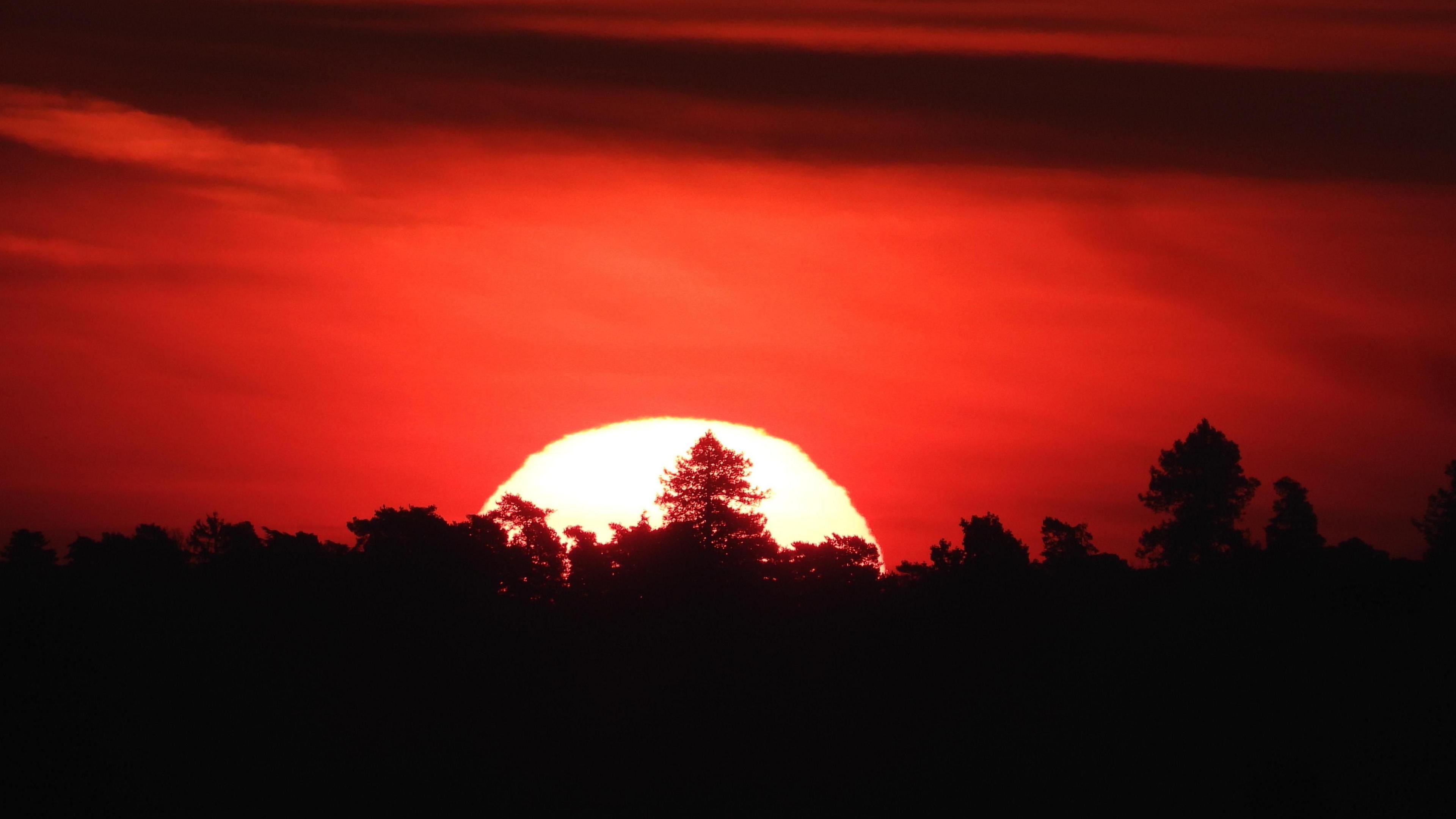 The sun sets behind the silhouette of a row of trees, making the sky a deep red colour.